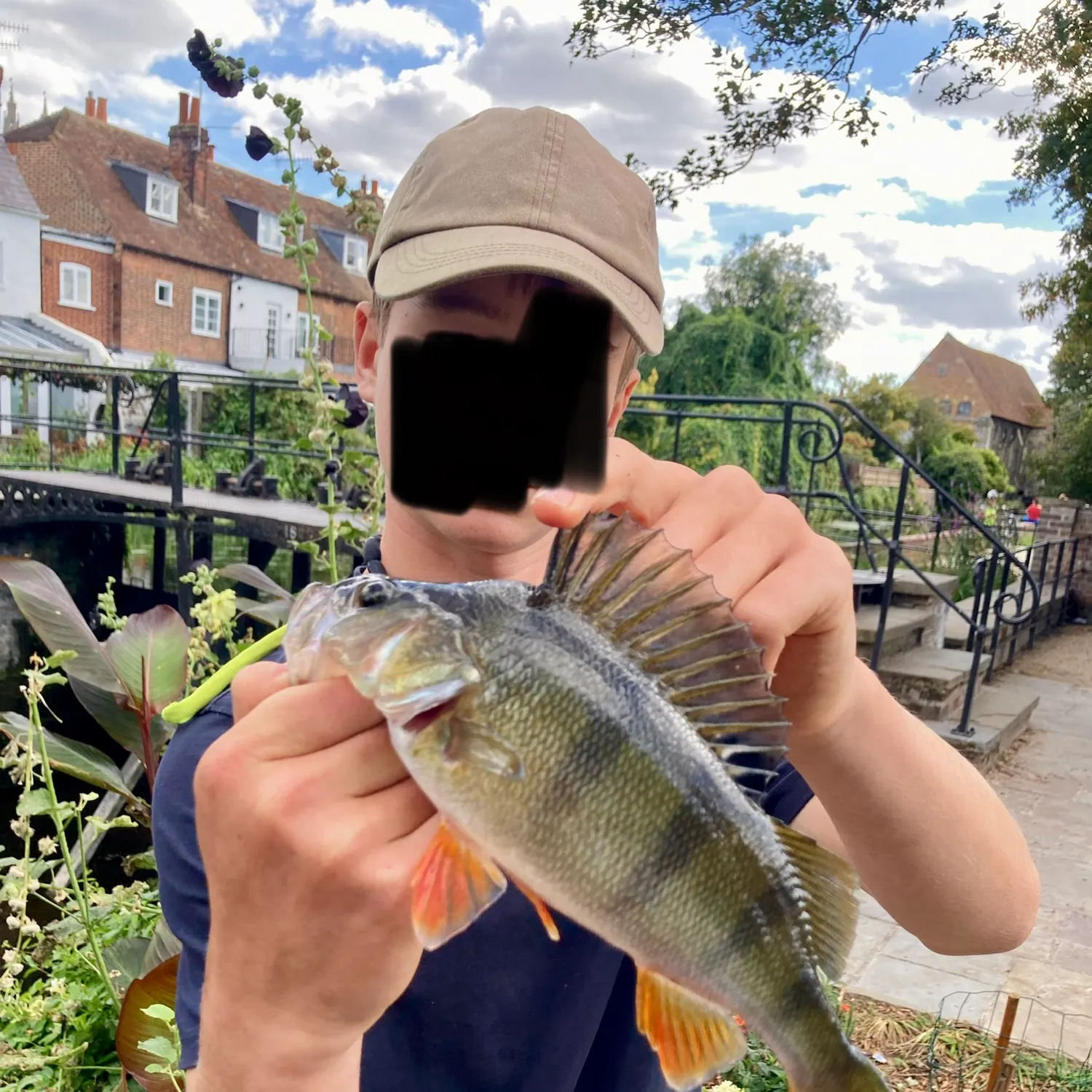 European perch caught on Fishbrain