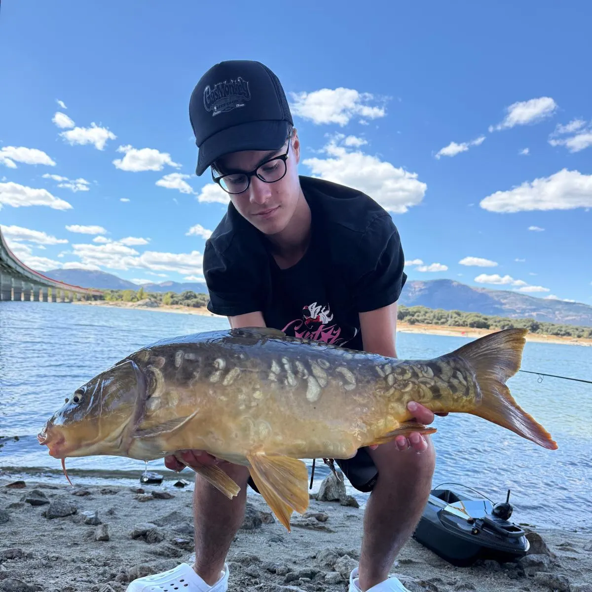 Mirror carp caught on Fishbrain