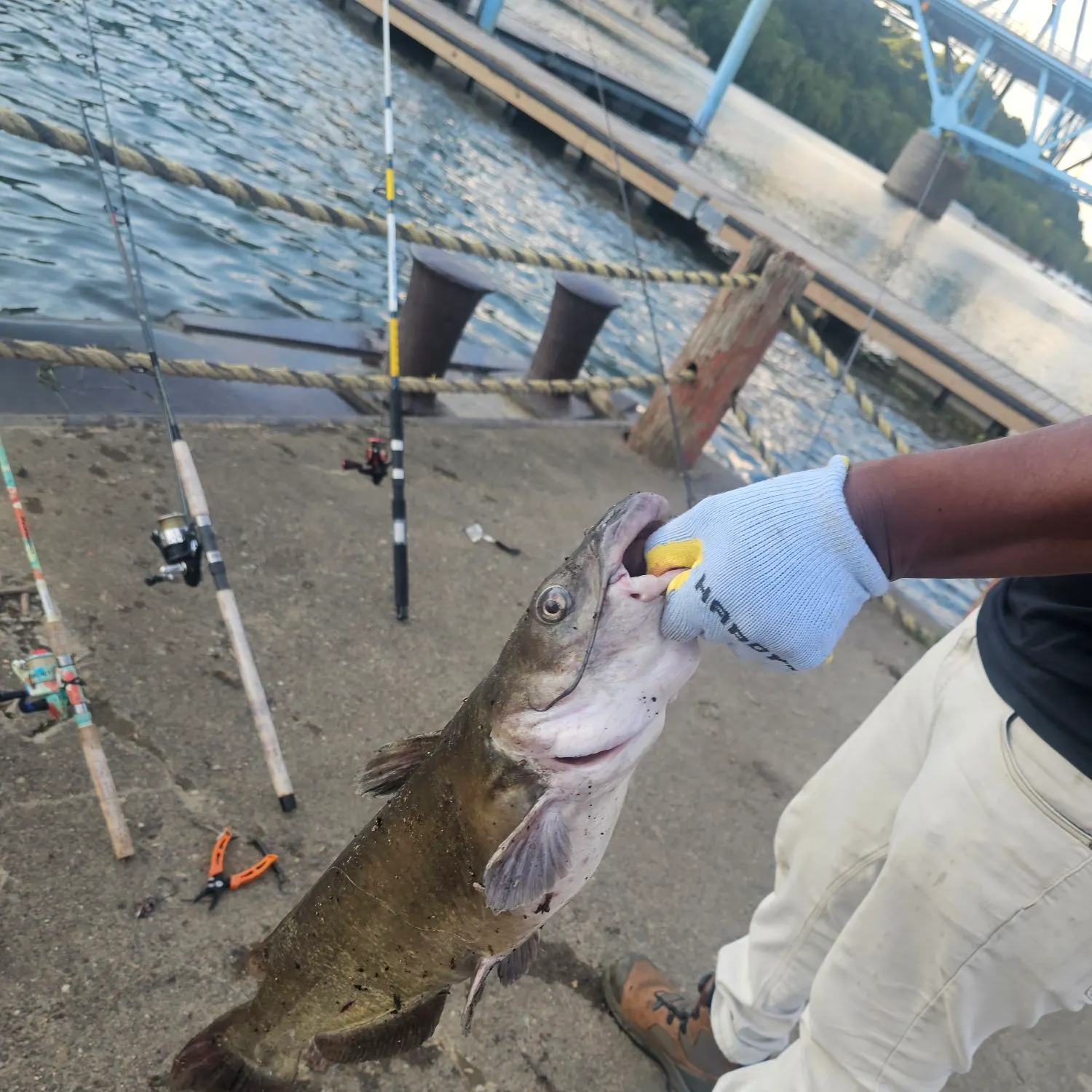catch