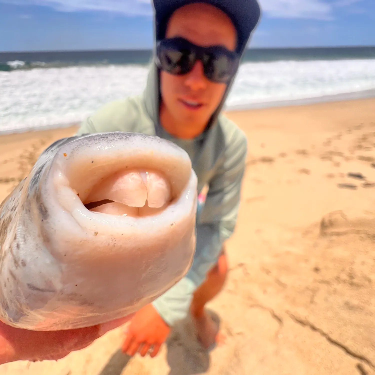 The most recent Smooth puffer catches on Fishbrain