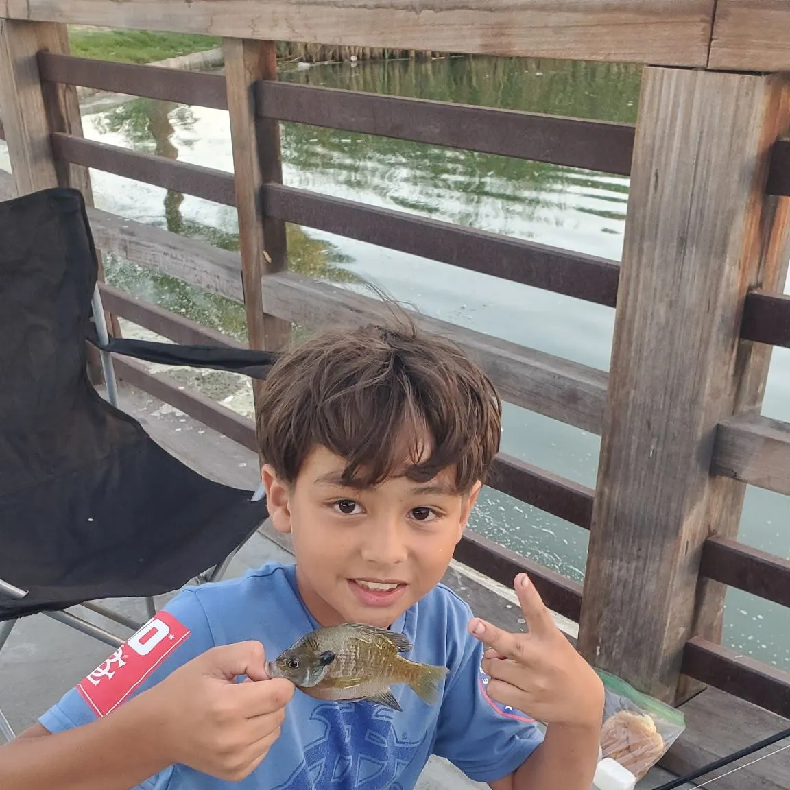 Bluegill caught on Fishbrain