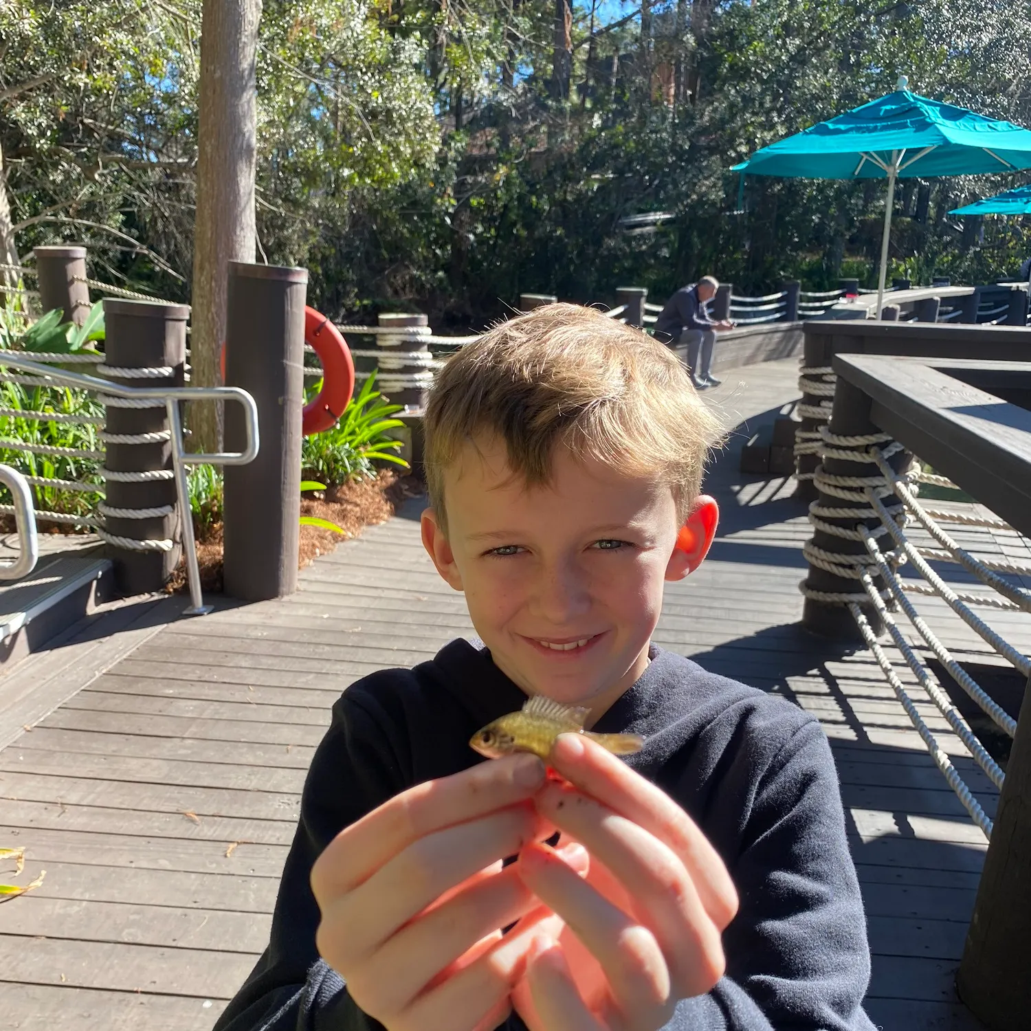 The most recent Pumpkinseed catches on Fishbrain