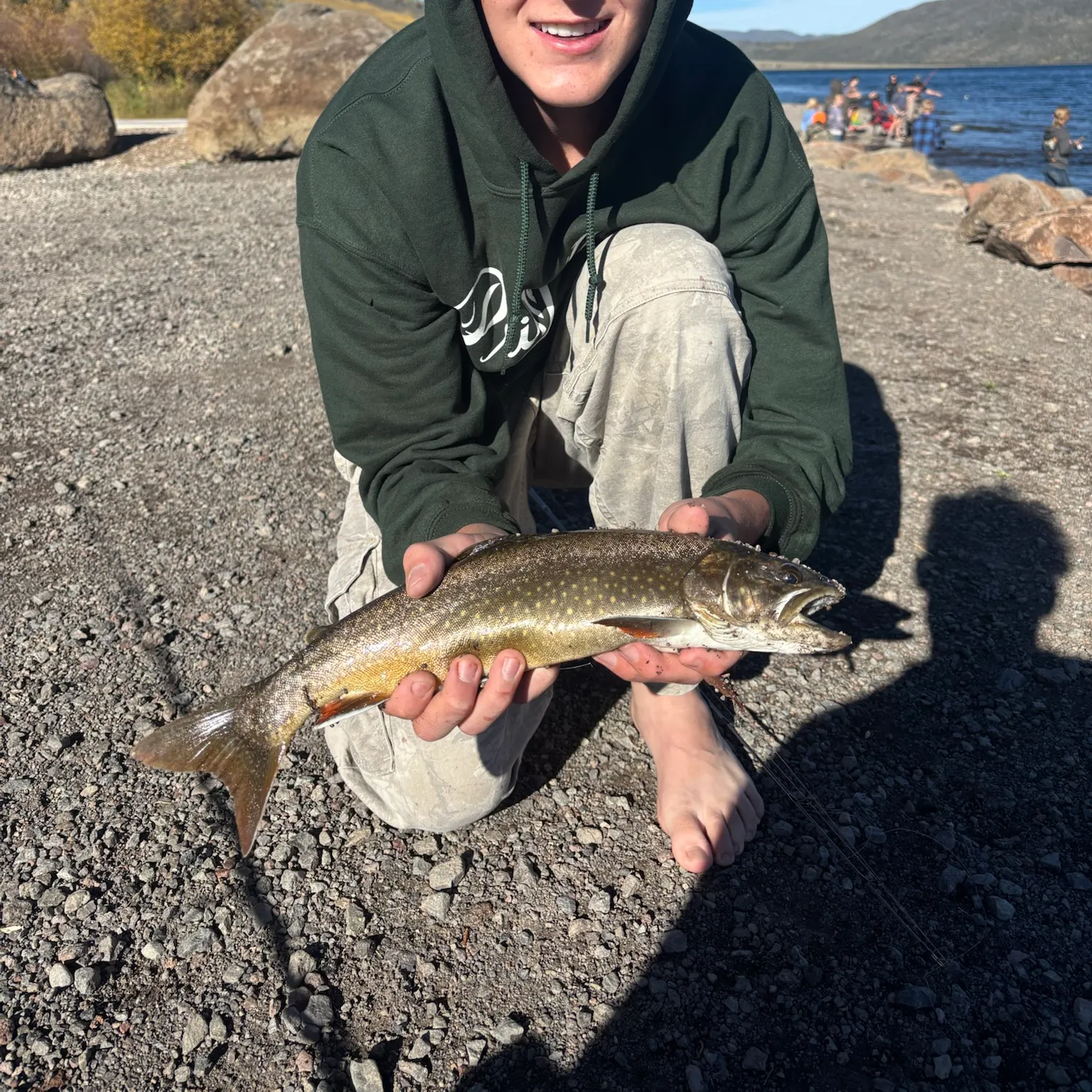 Brown trout caught on Fishbrain