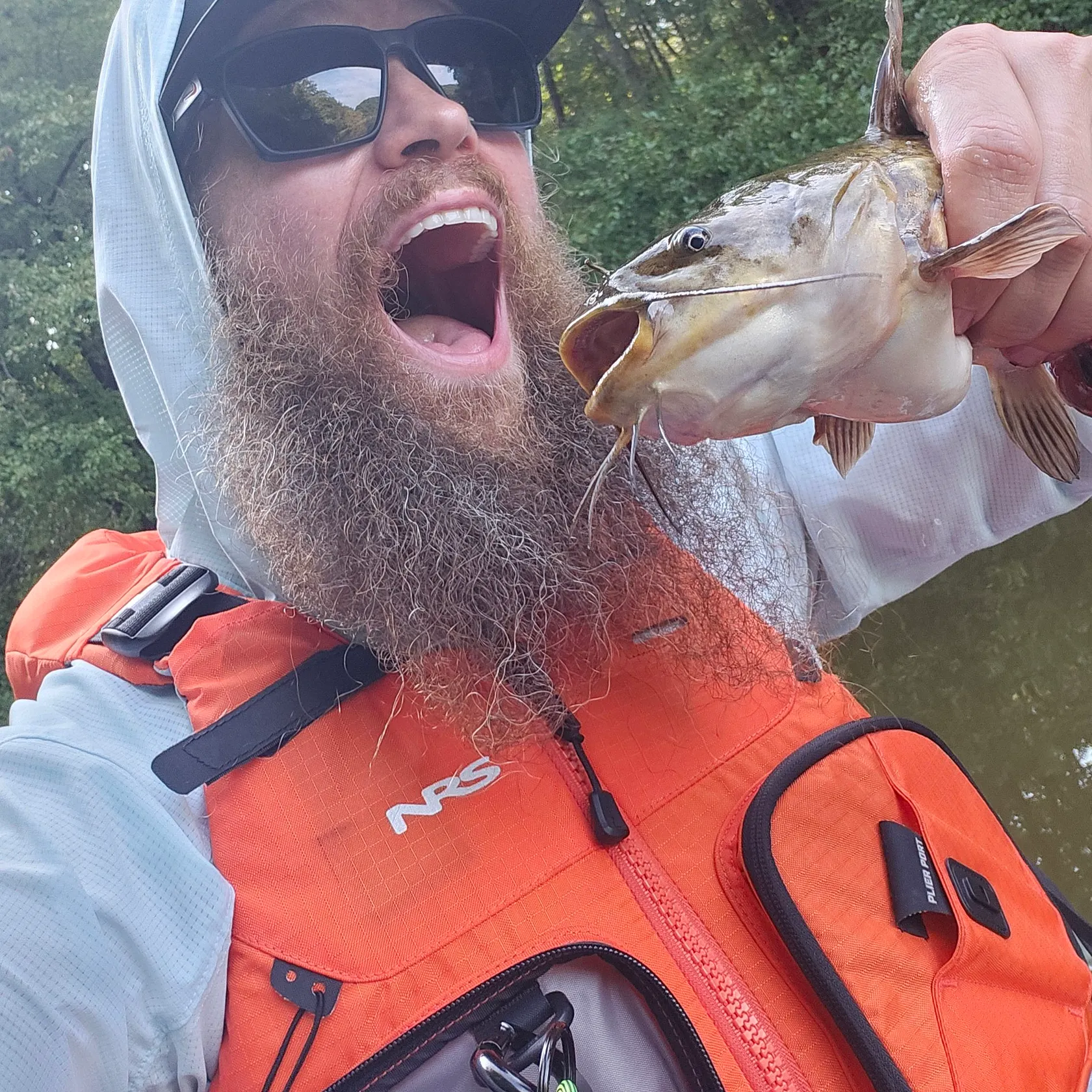 Blue catfish caught on Fishbrain