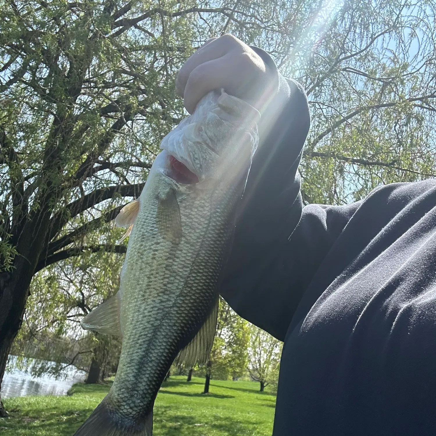 angler catch