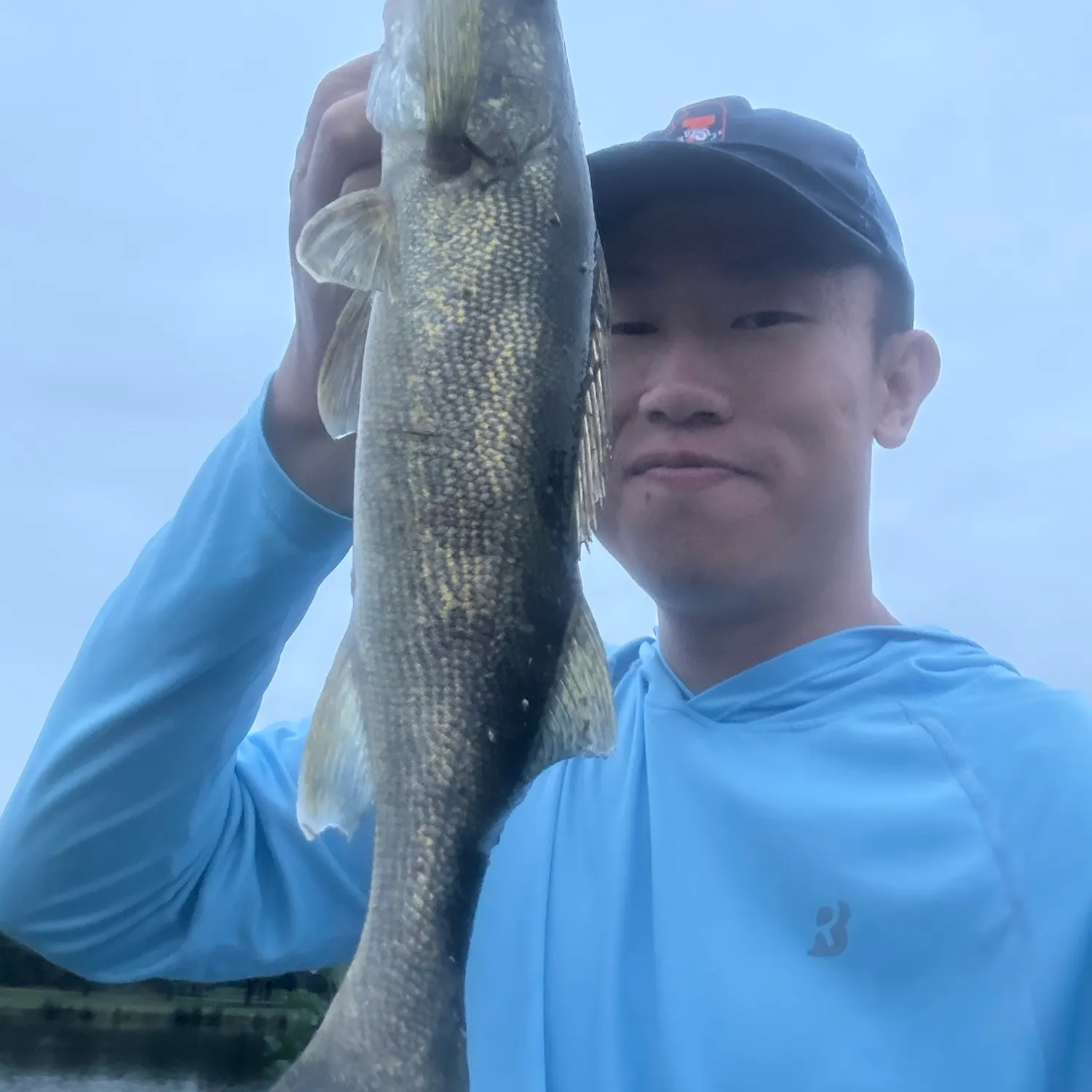 Saugeye caught on Fishbrain