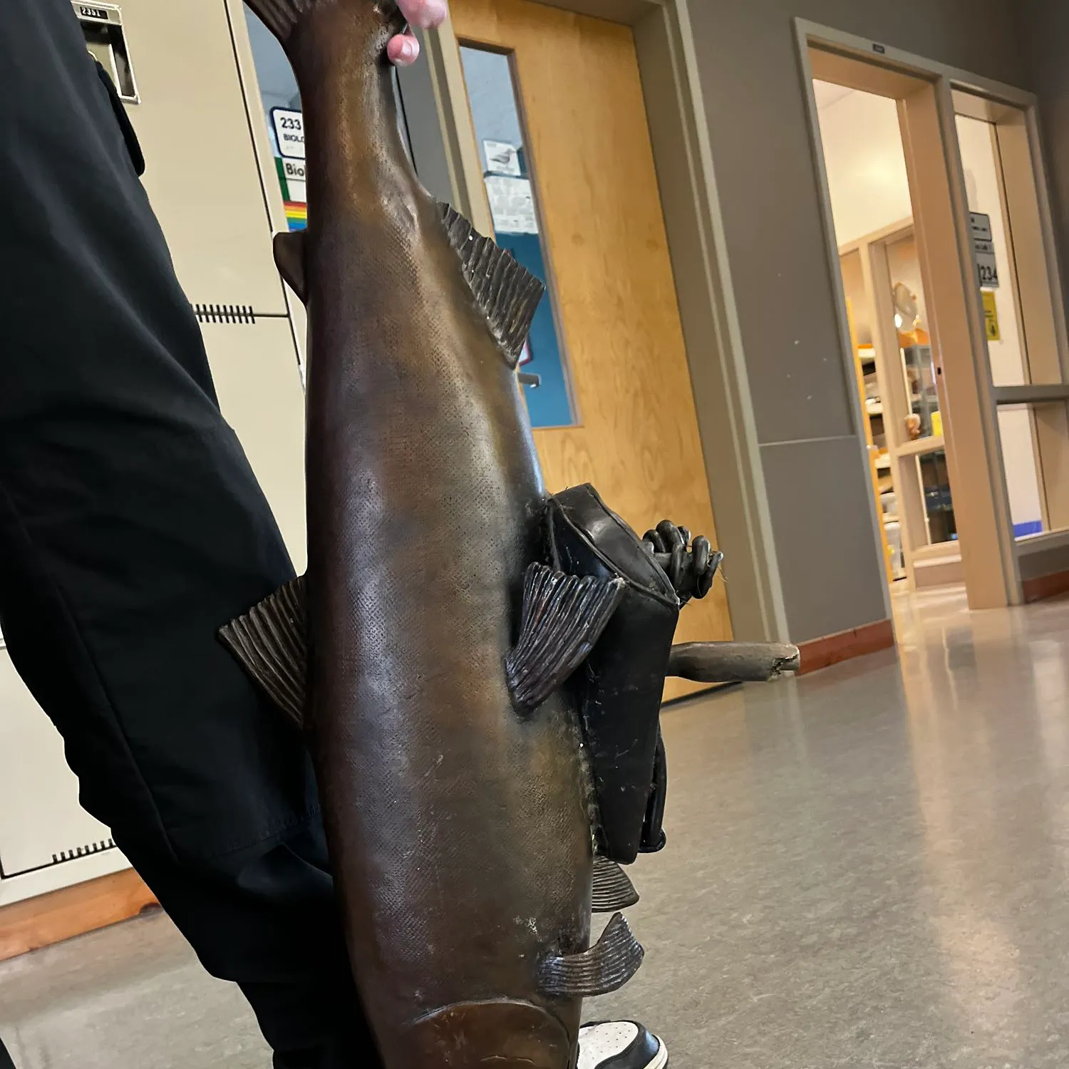 Fish caught on Fishbrain