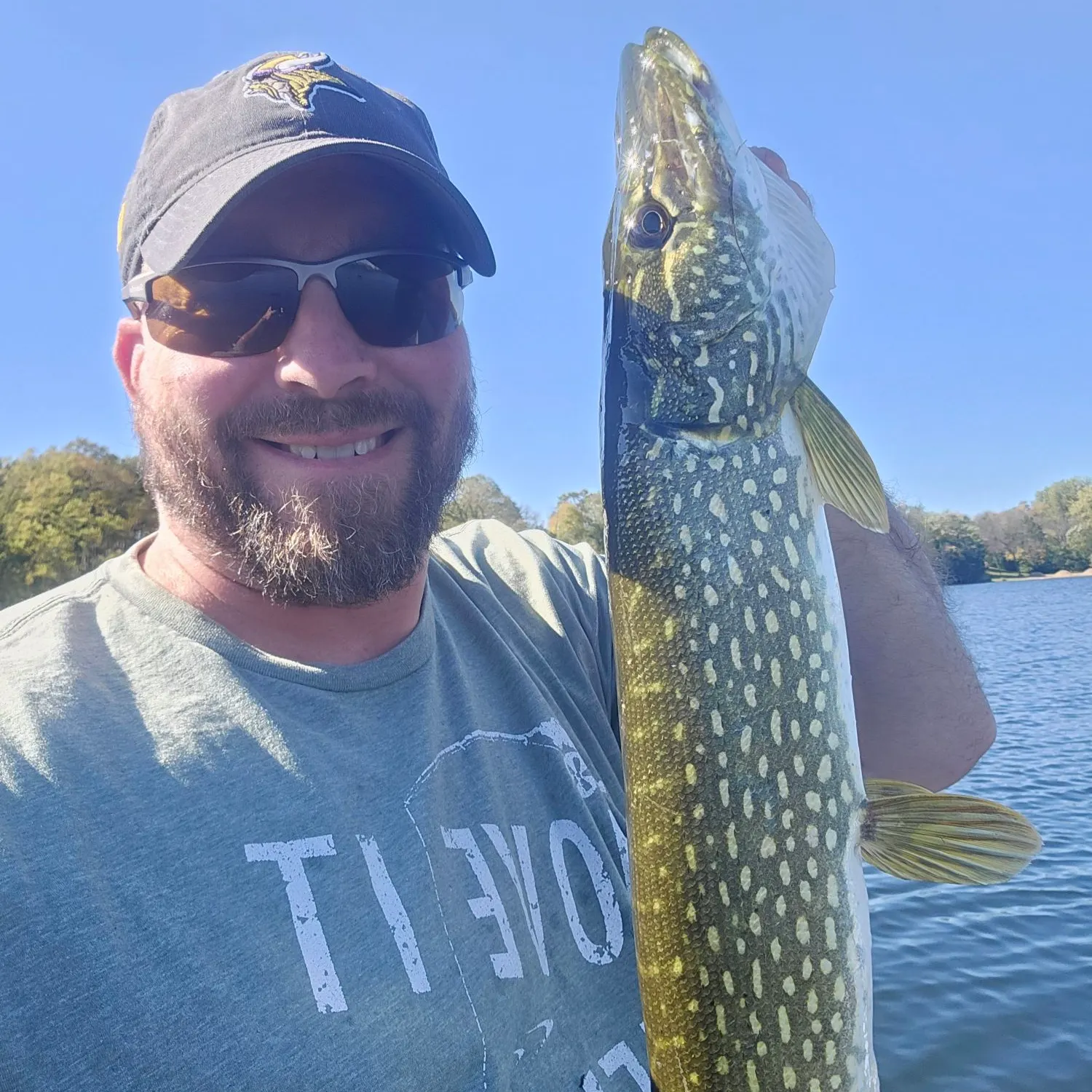 Northern pike caught on Fishbrain