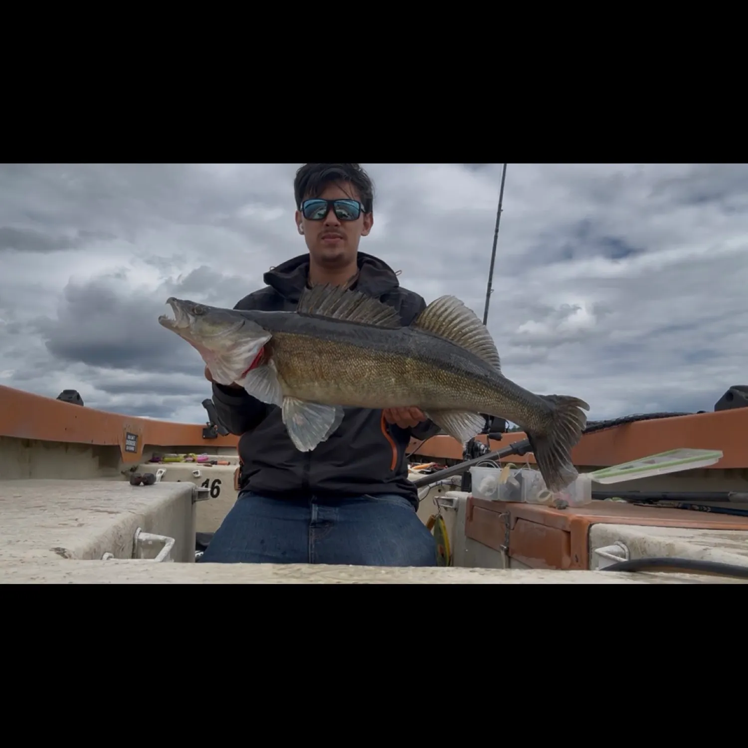 Zander caught on Fishbrain
