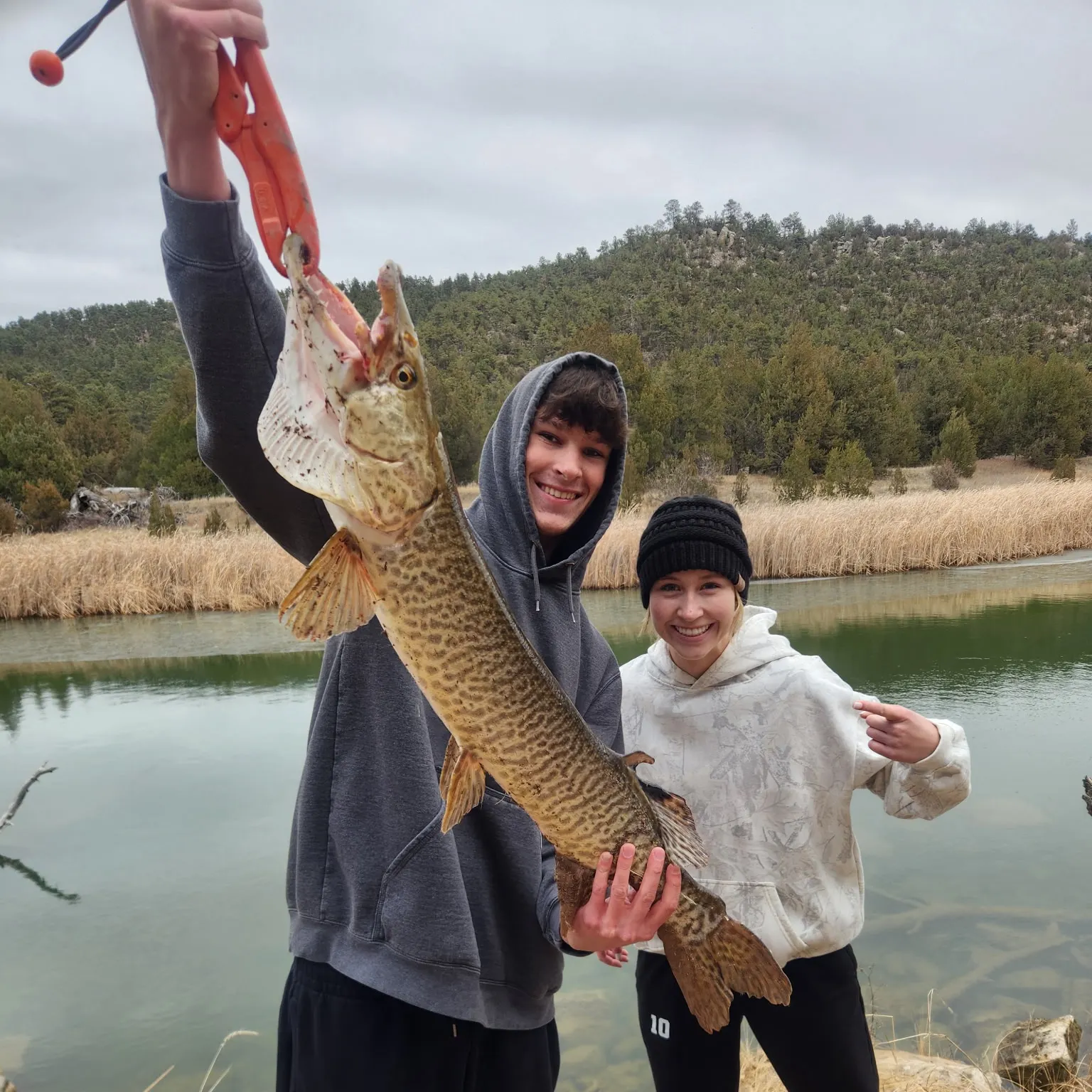 The most recent Tiger muskellunge catches on Fishbrain