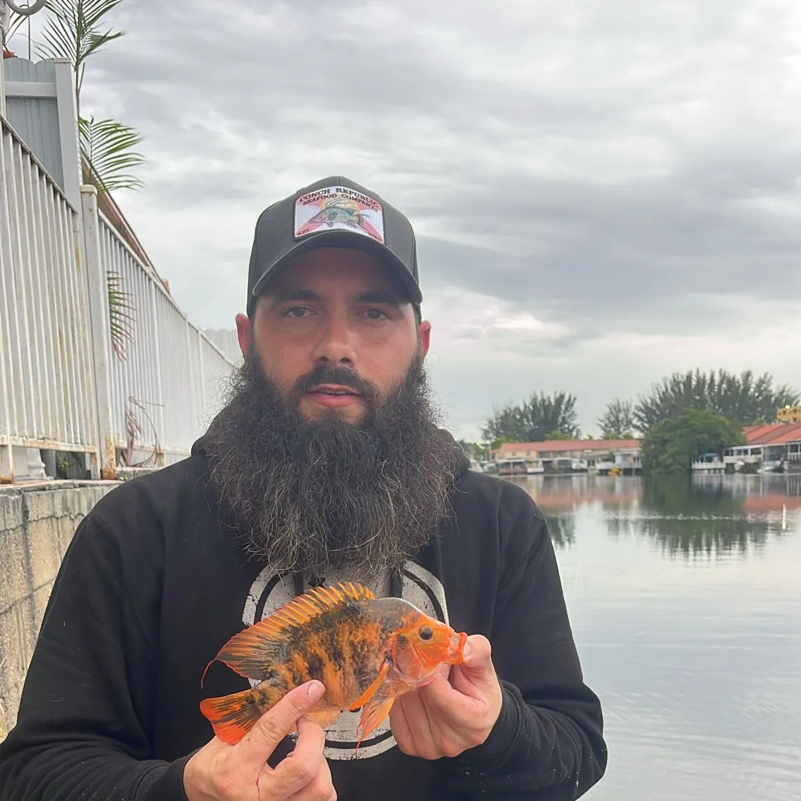 most liked catch image