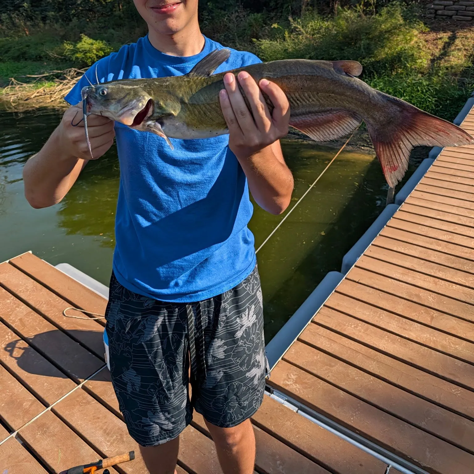 Channel catfish caught on Fishbrain