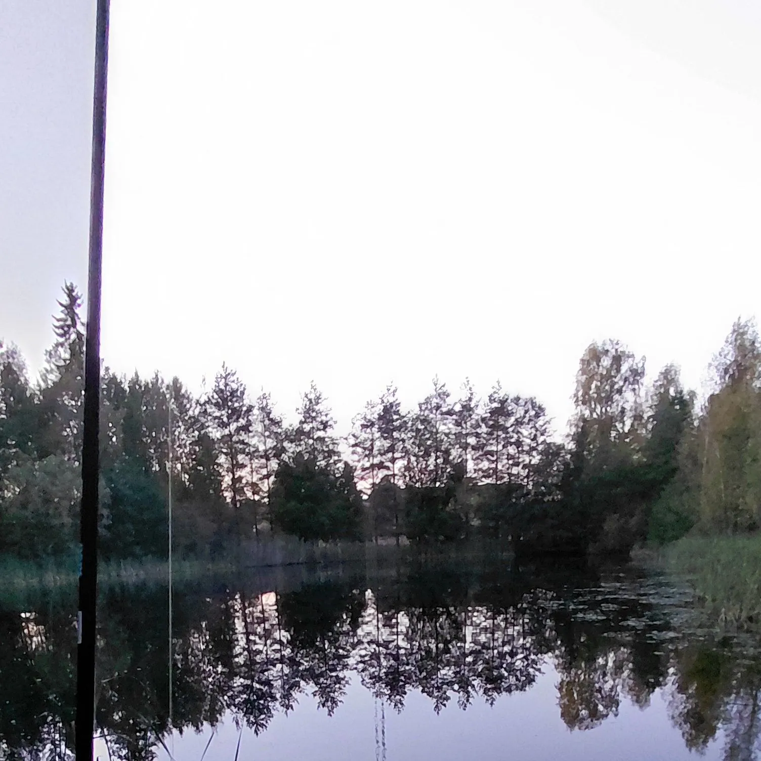 European perch caught on Fishbrain
