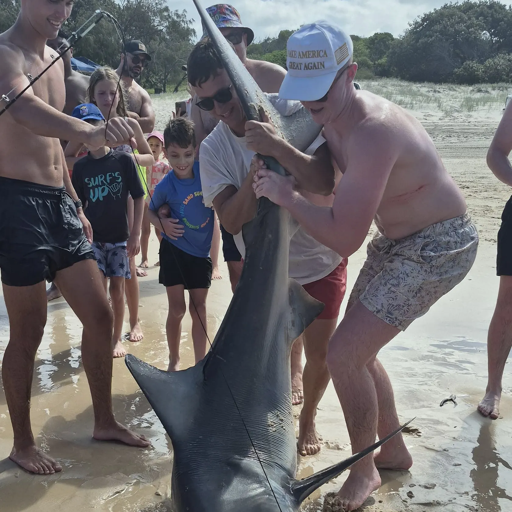 The most popular recent Bull shark catch on Fishbrain