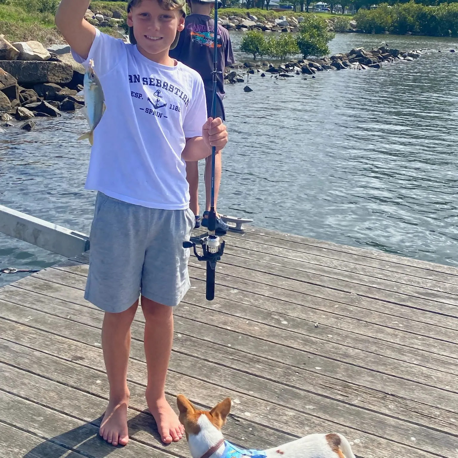 The most recent Yellowtail scad catches on Fishbrain