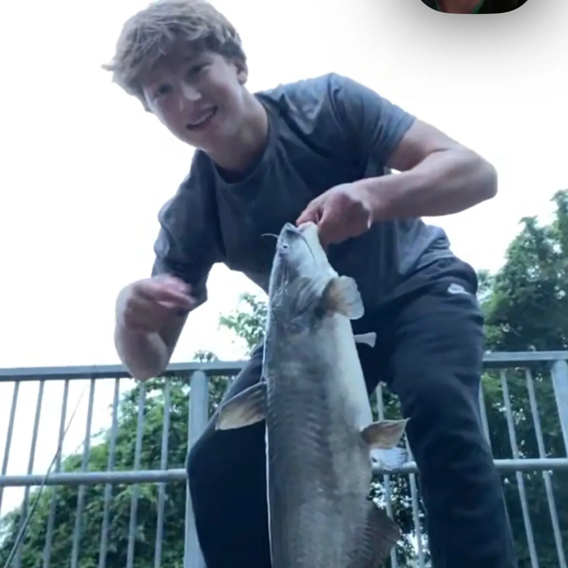Blue catfish caught on Fishbrain