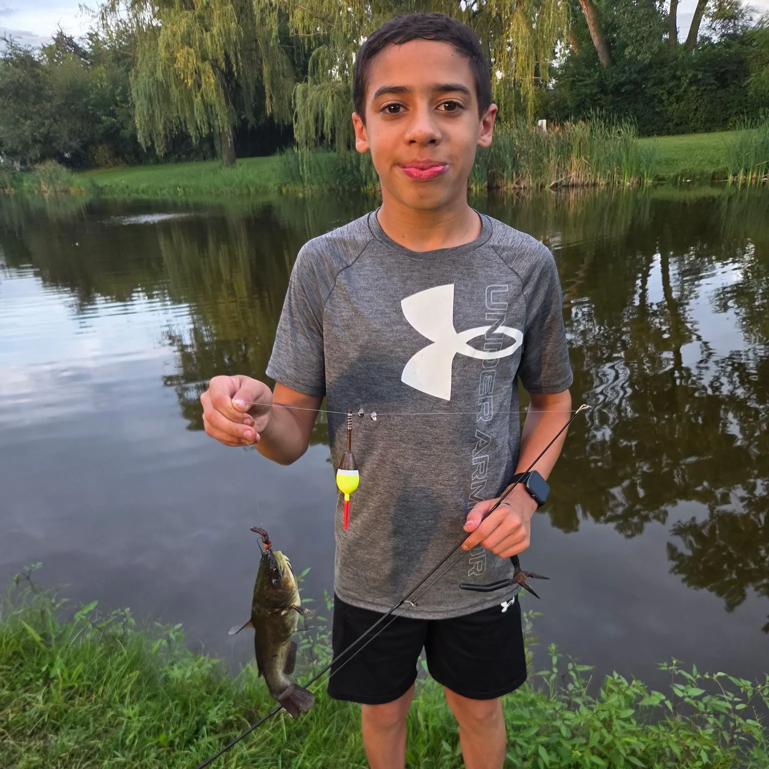 Yellow bullhead caught on Fishbrain