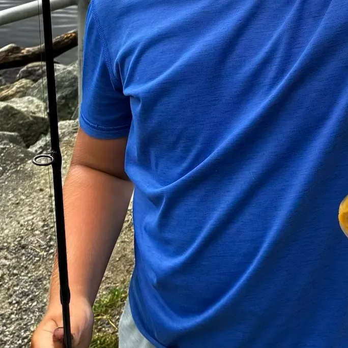 The most recent American eel catches on Fishbrain