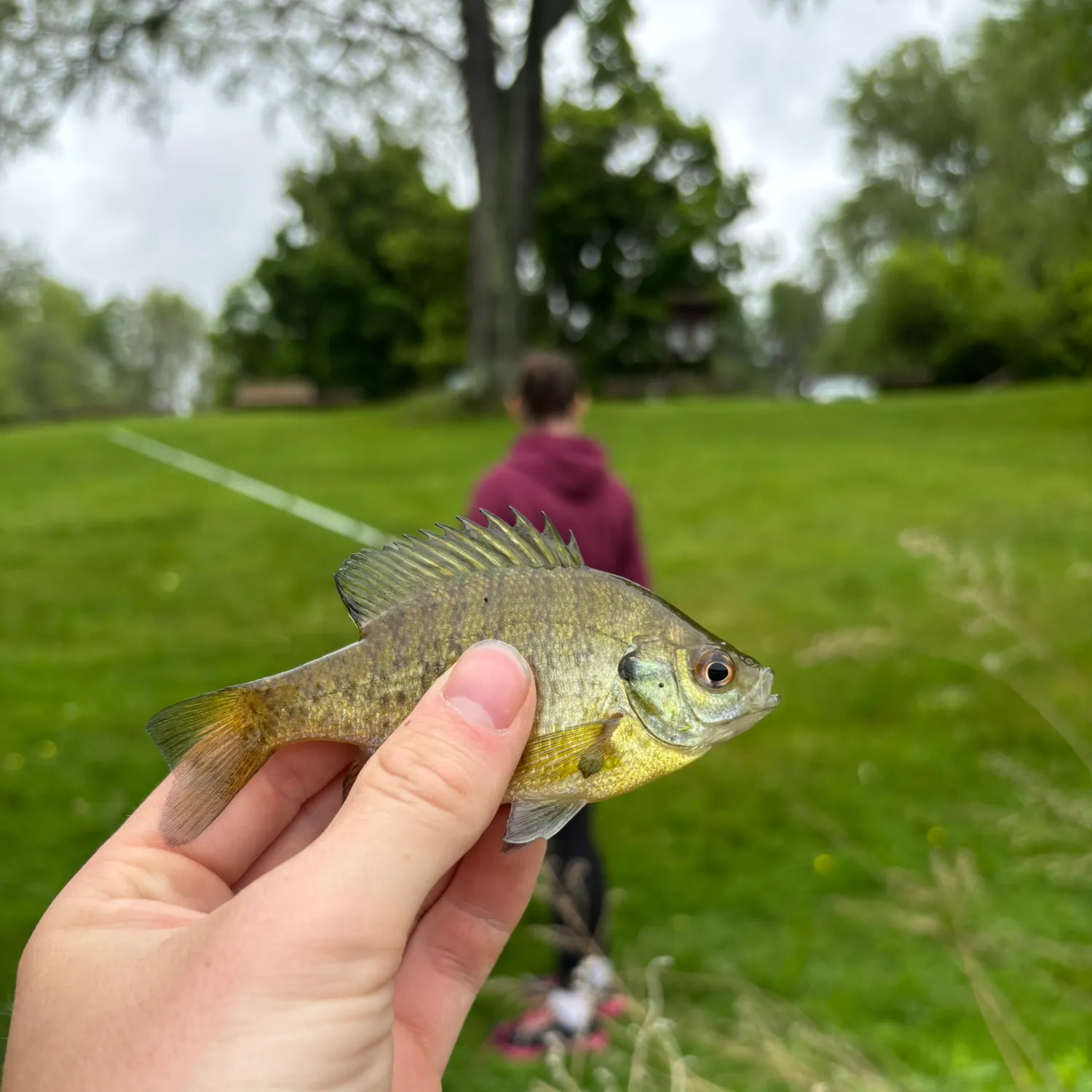 catch