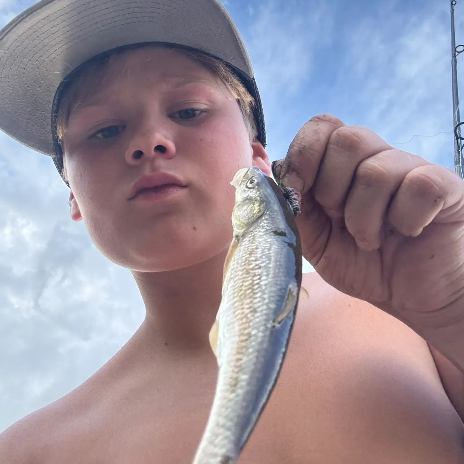 Hornyhead chub caught on Fishbrain