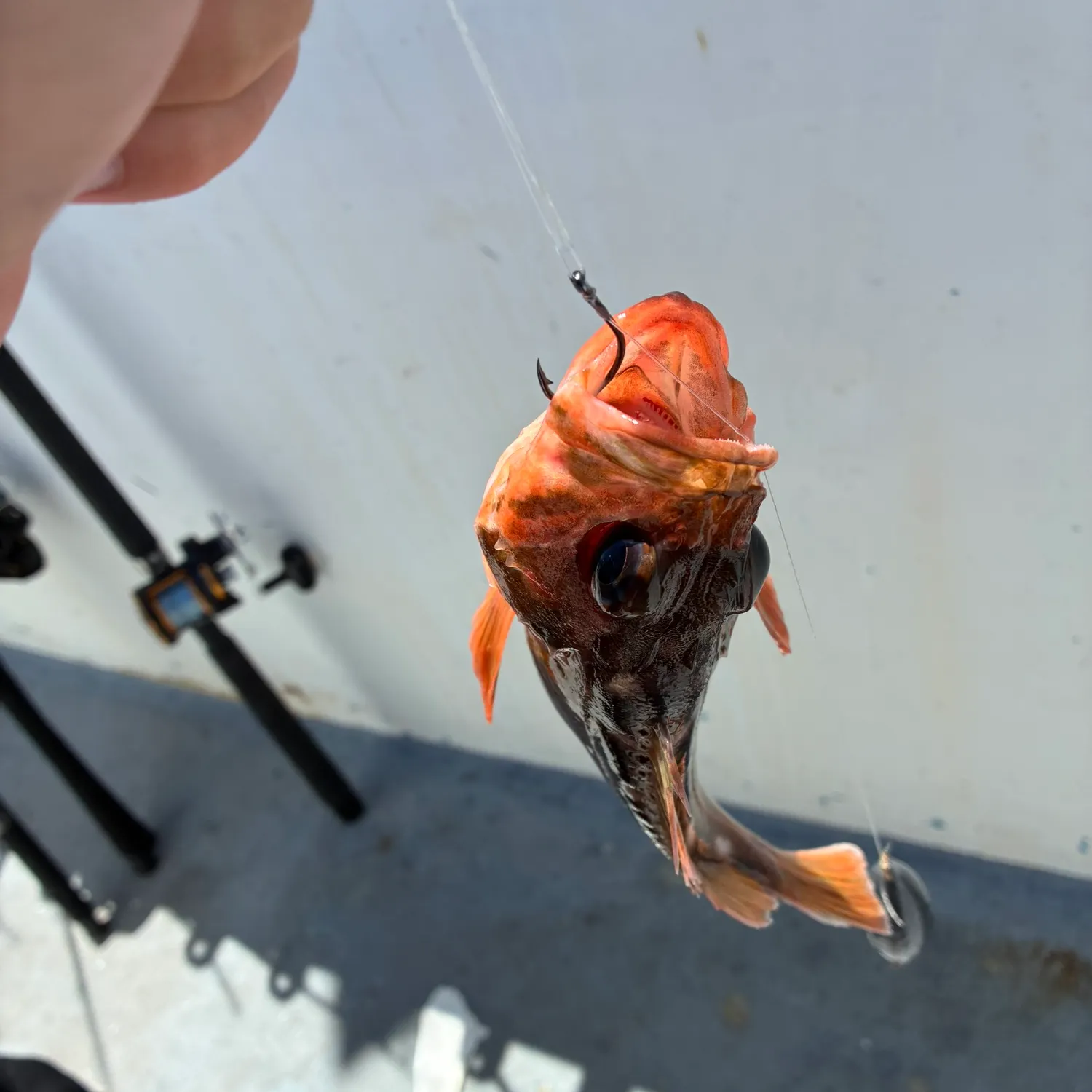 catch