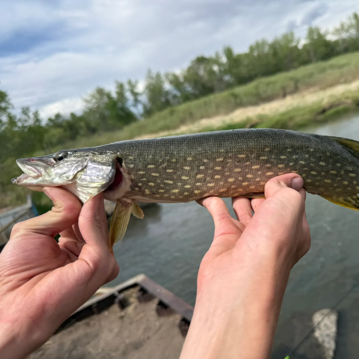 catch