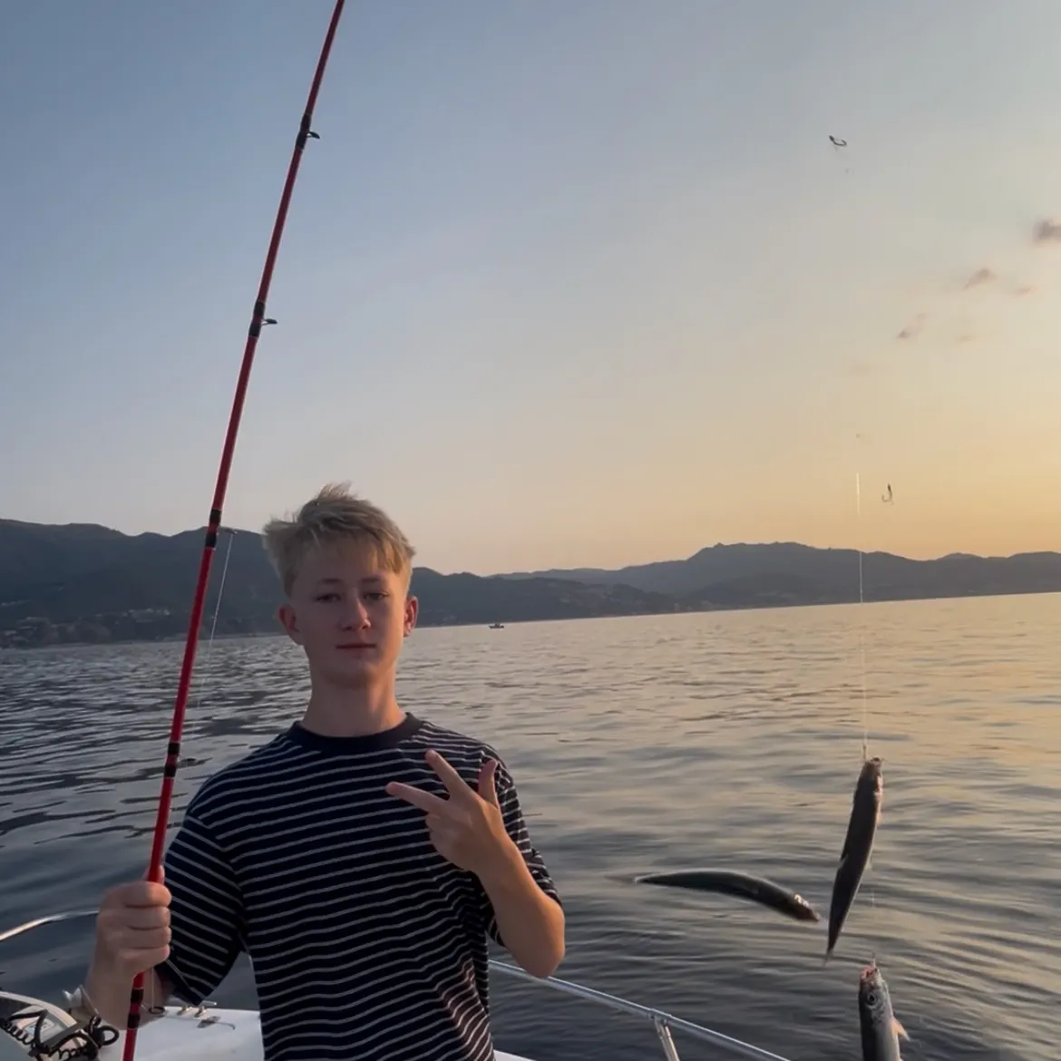 The most recent Round sardinella catches on Fishbrain