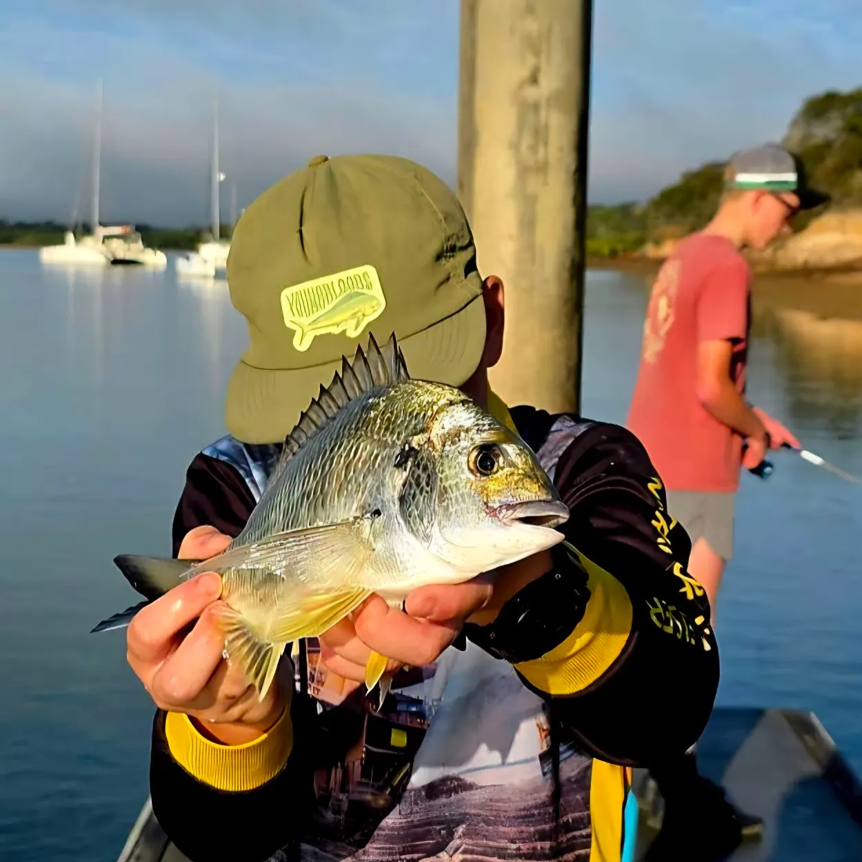 Surf bream caught on Fishbrain