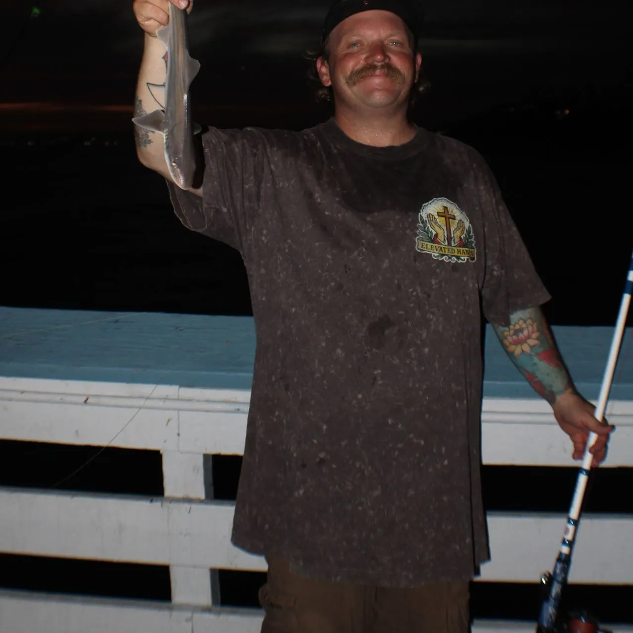 Grey smooth-hound caught on Fishbrain