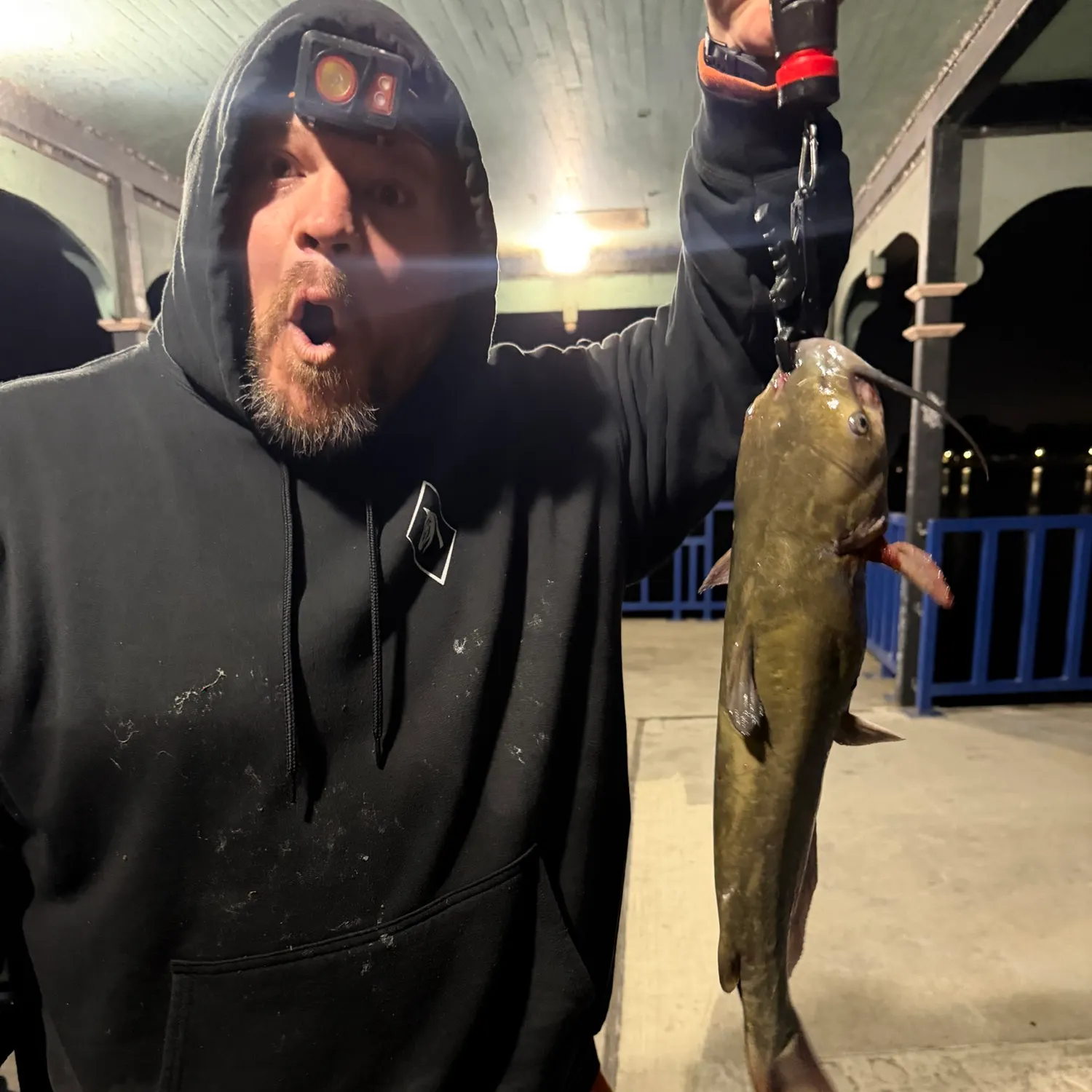 Channel catfish caught on Fishbrain
