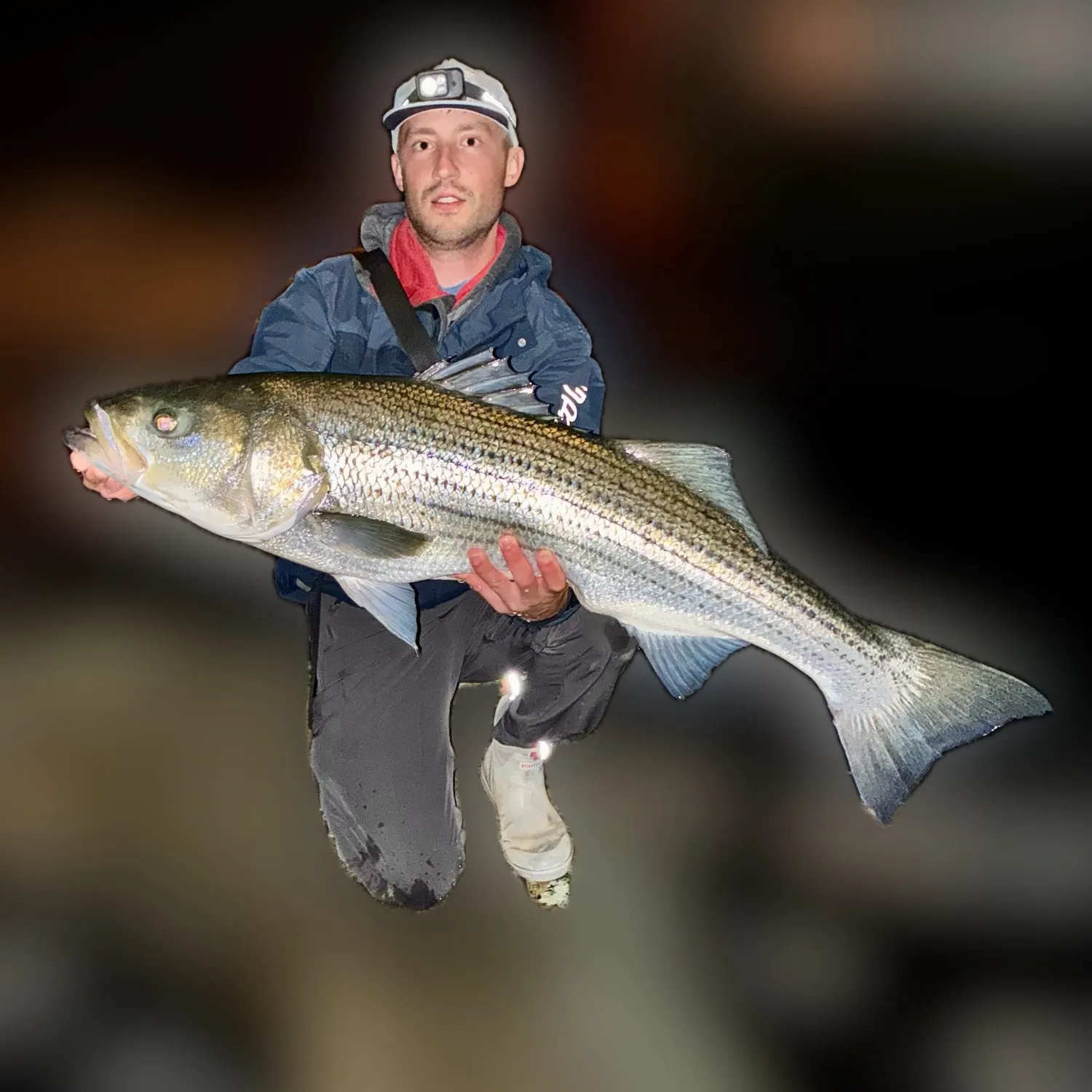 Striped bass caught on Fishbrain
