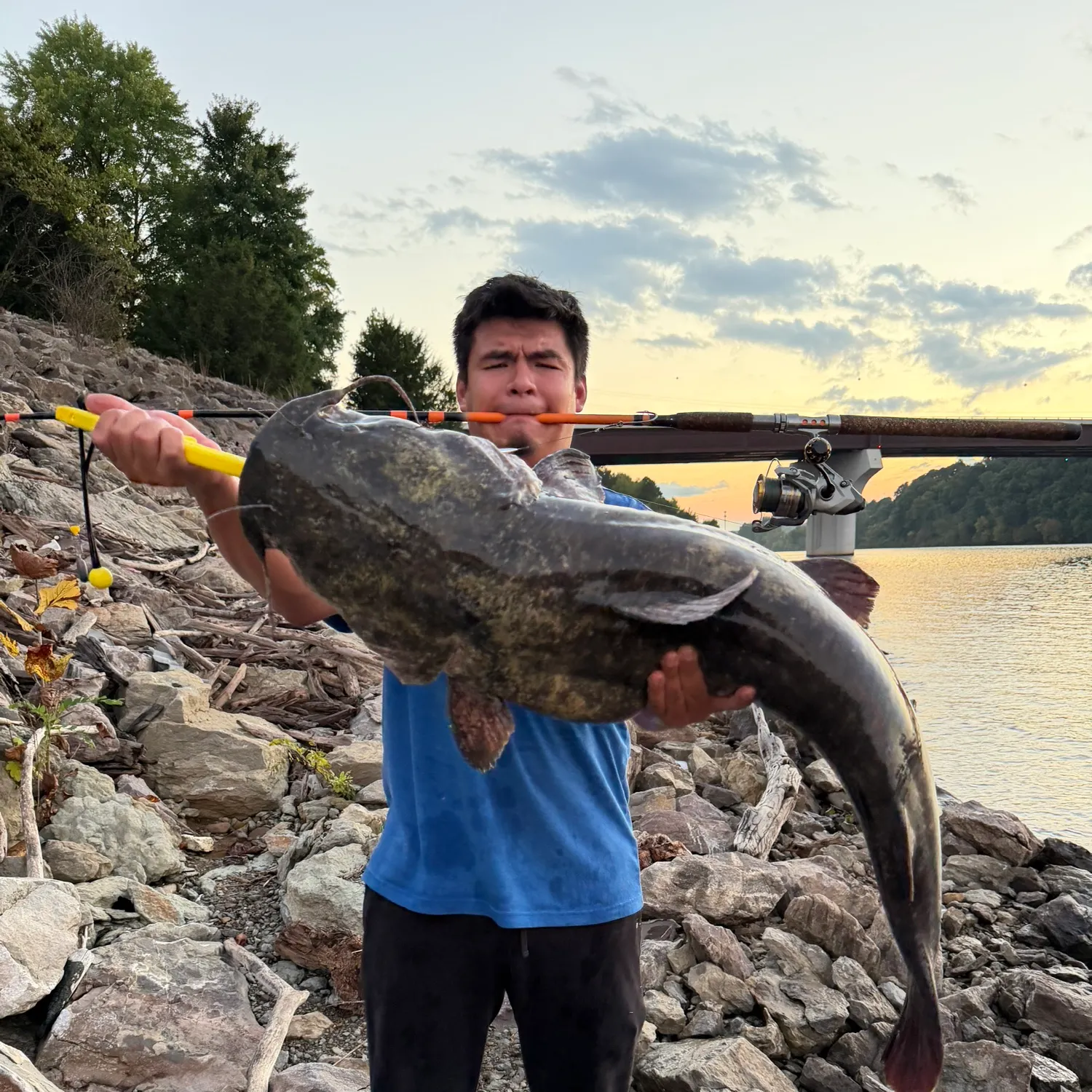 Flathead catfish caught on Fishbrain