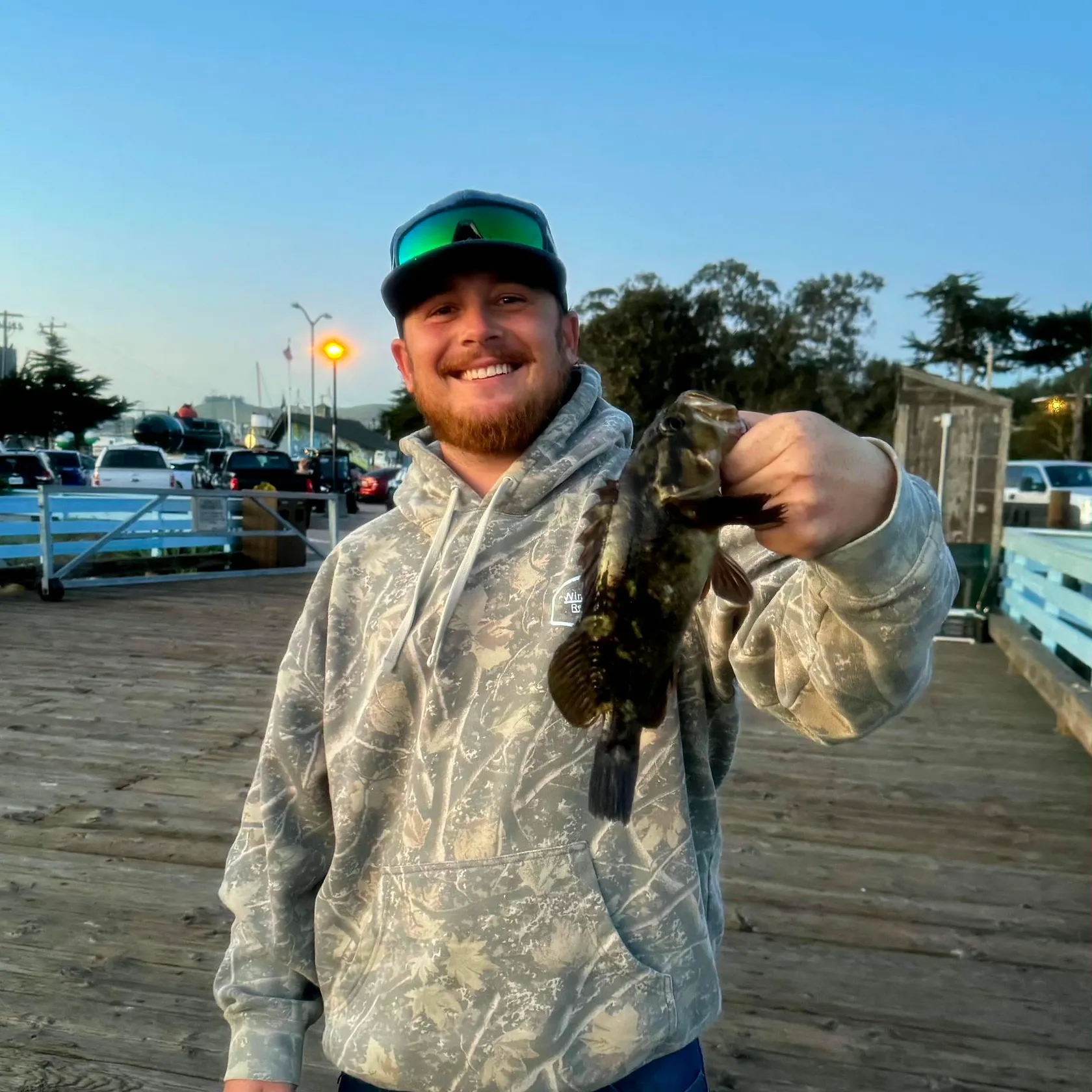 The most recent Grass rockfish catches on Fishbrain
