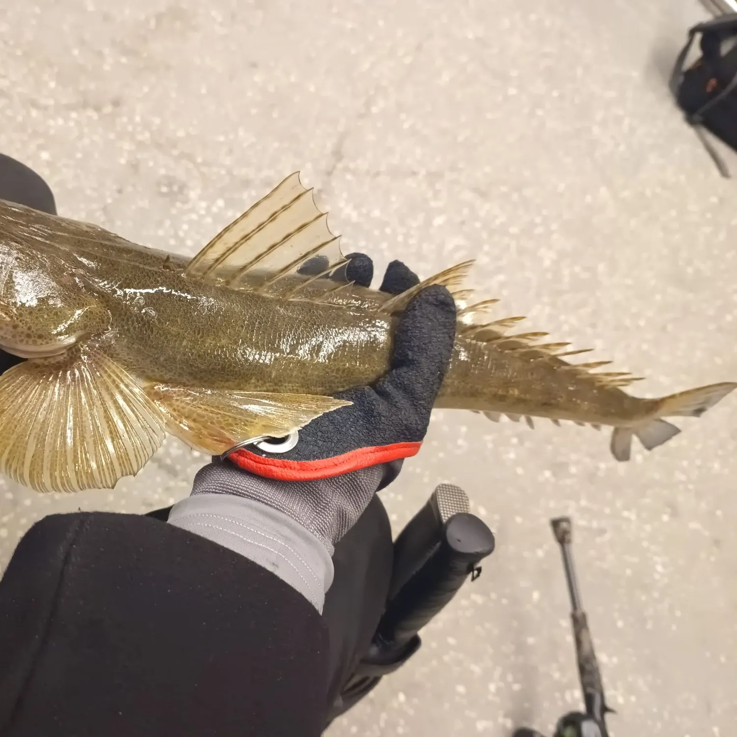 catch