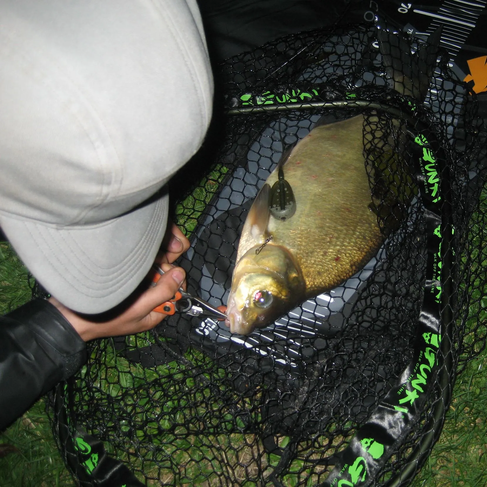 The most recent Common bream catches on Fishbrain