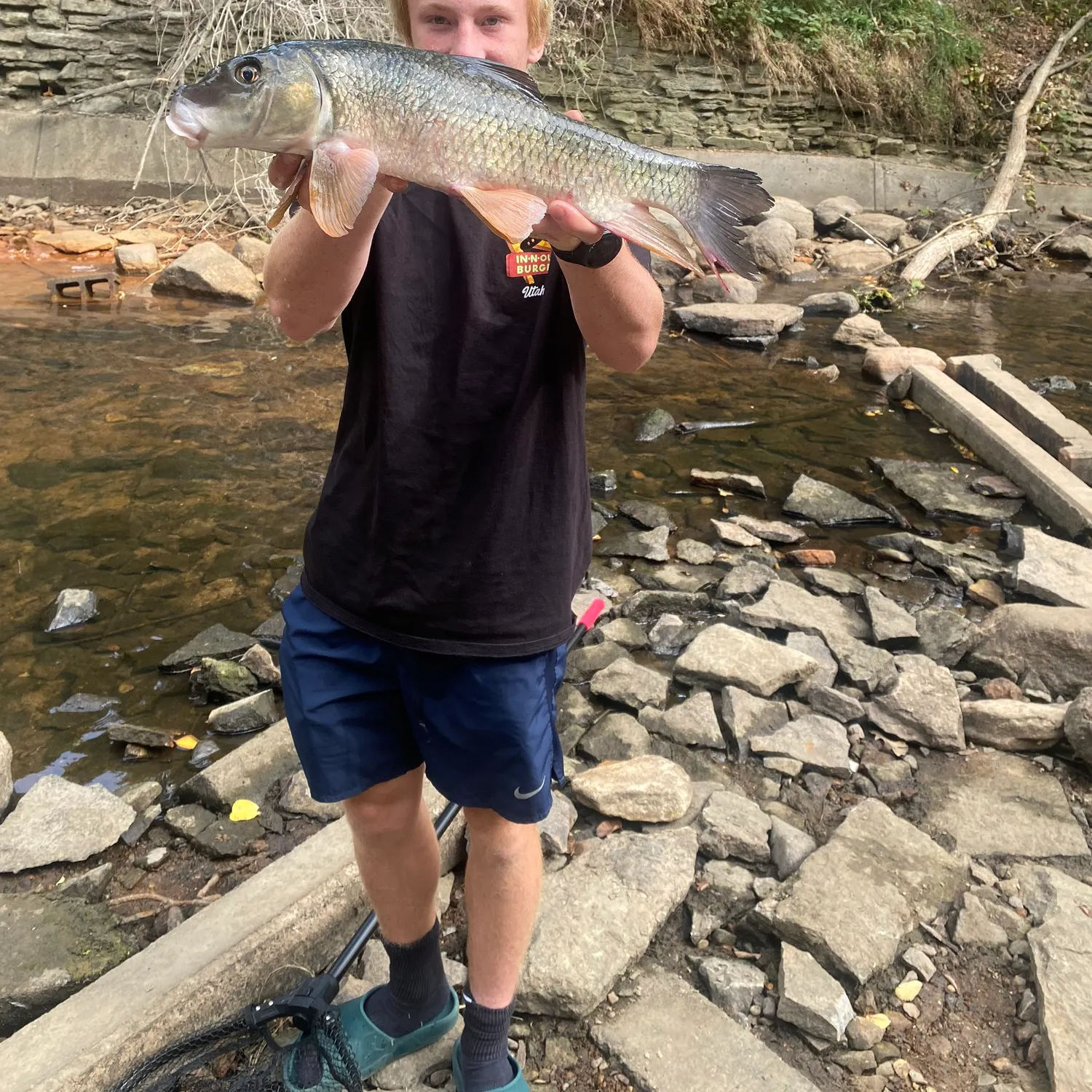 Silver redhorse caught on Fishbrain