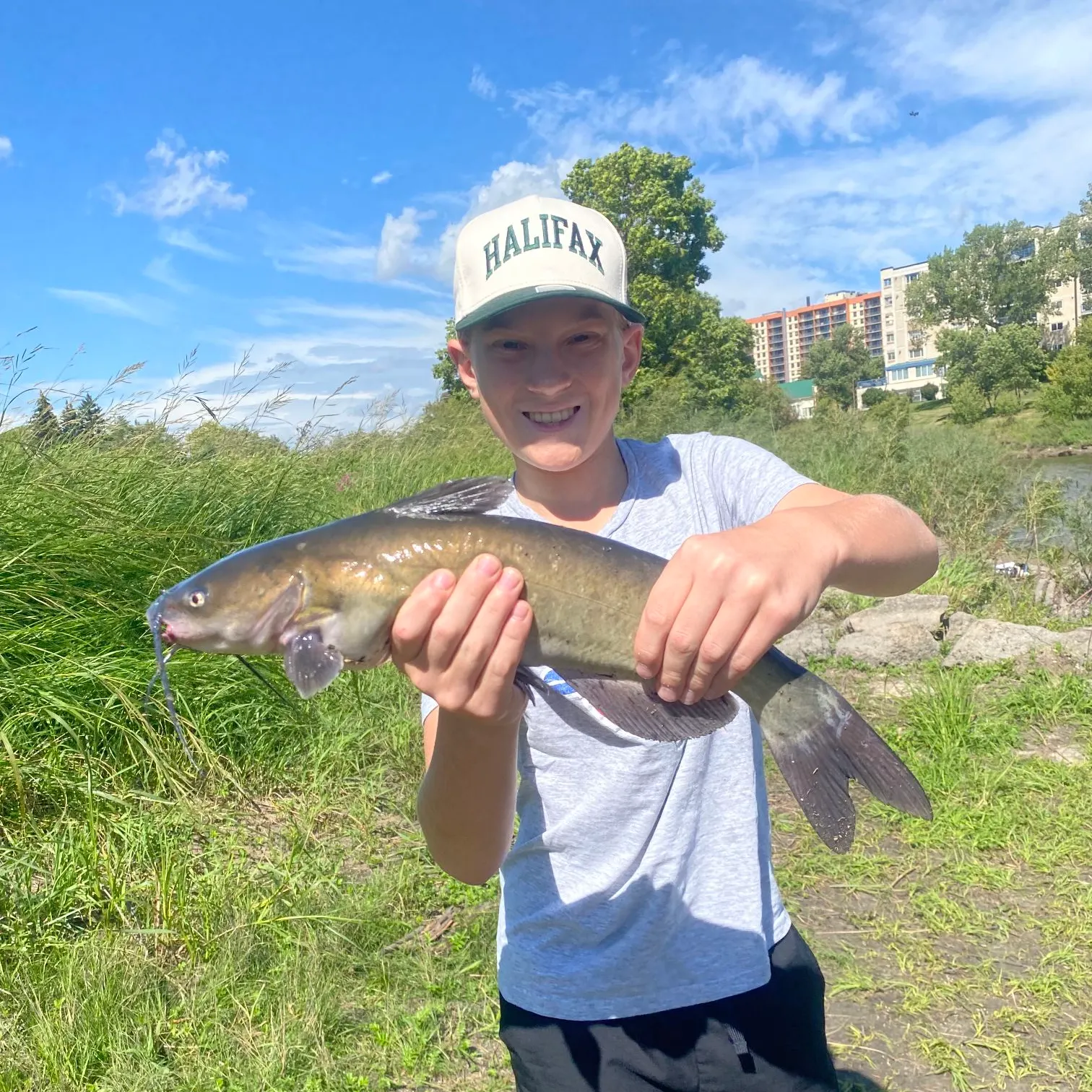 Channel catfish caught on Fishbrain