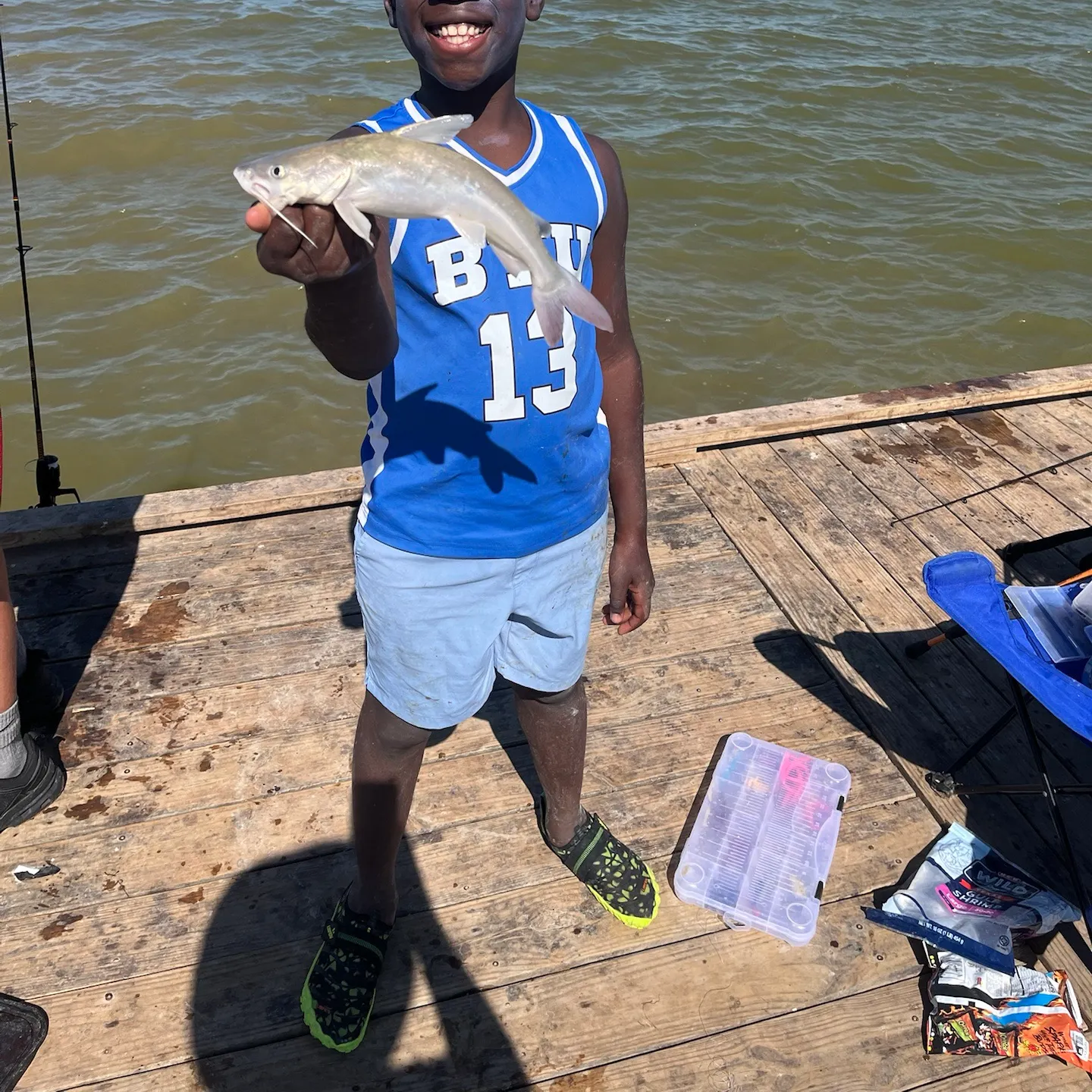 Hardhead sea catfish caught on Fishbrain