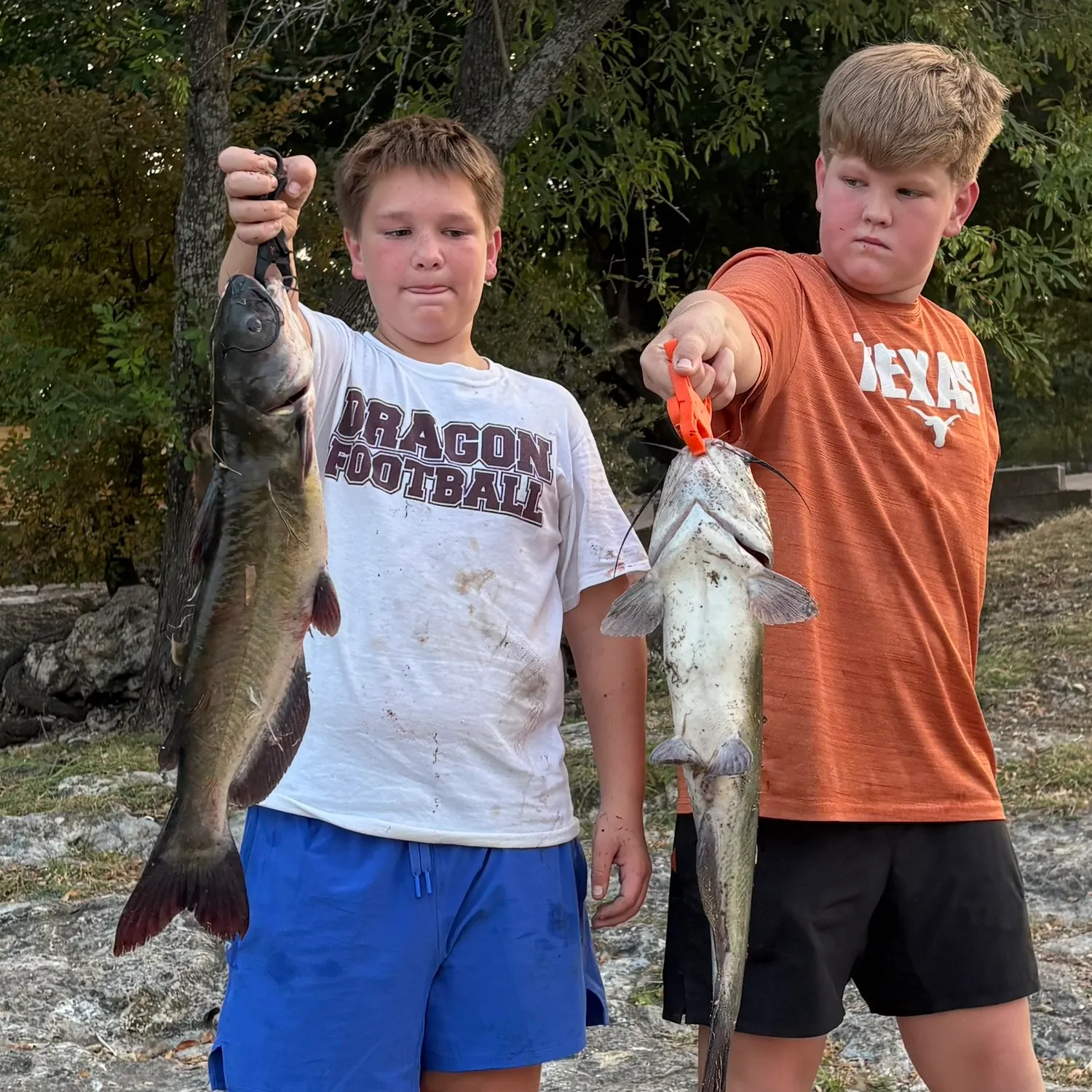 Channel catfish caught on Fishbrain