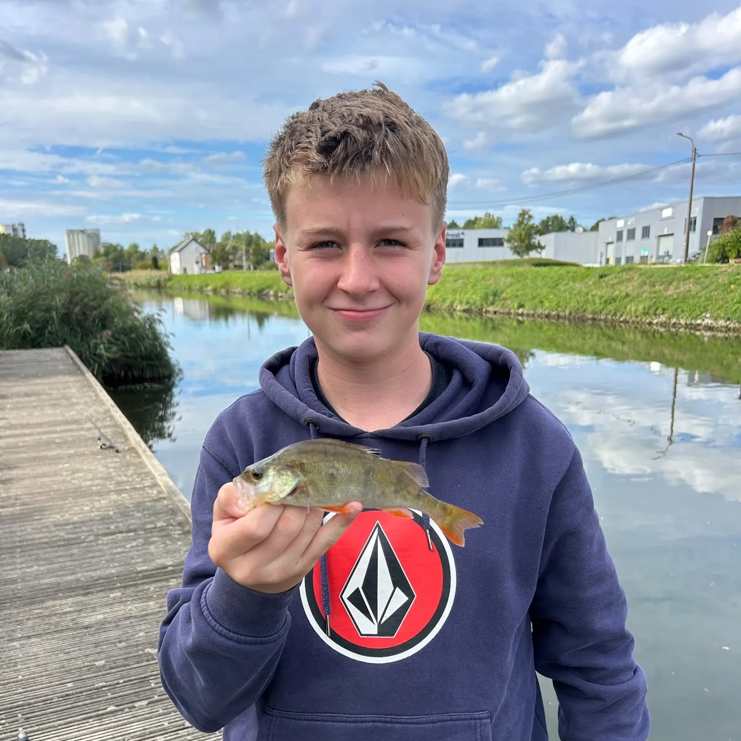 European perch caught on Fishbrain
