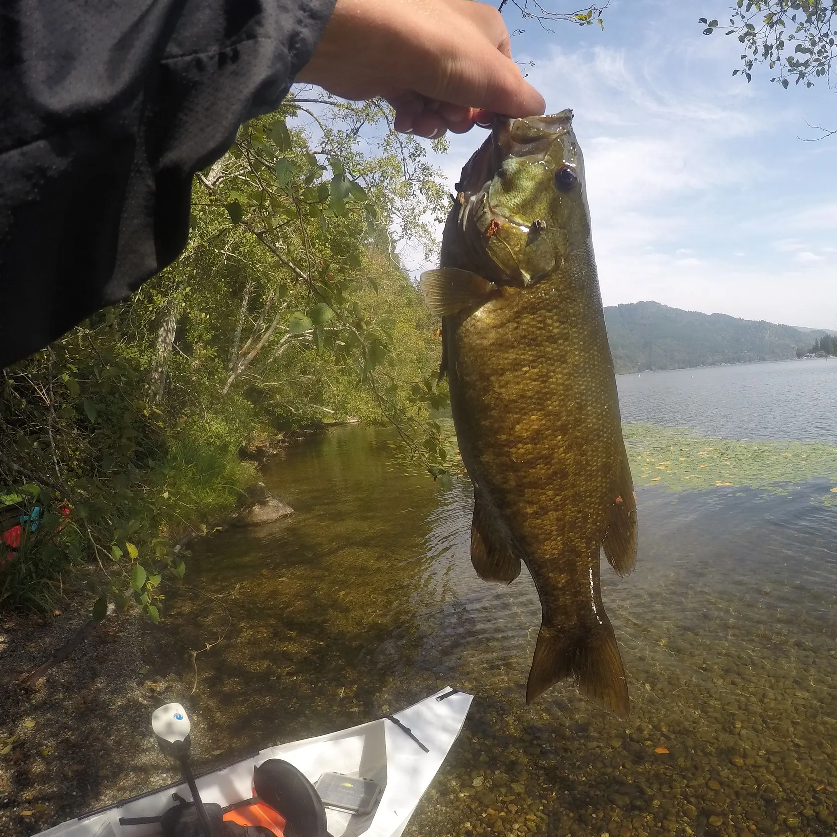 Smallmouth bass caught on Fishbrain