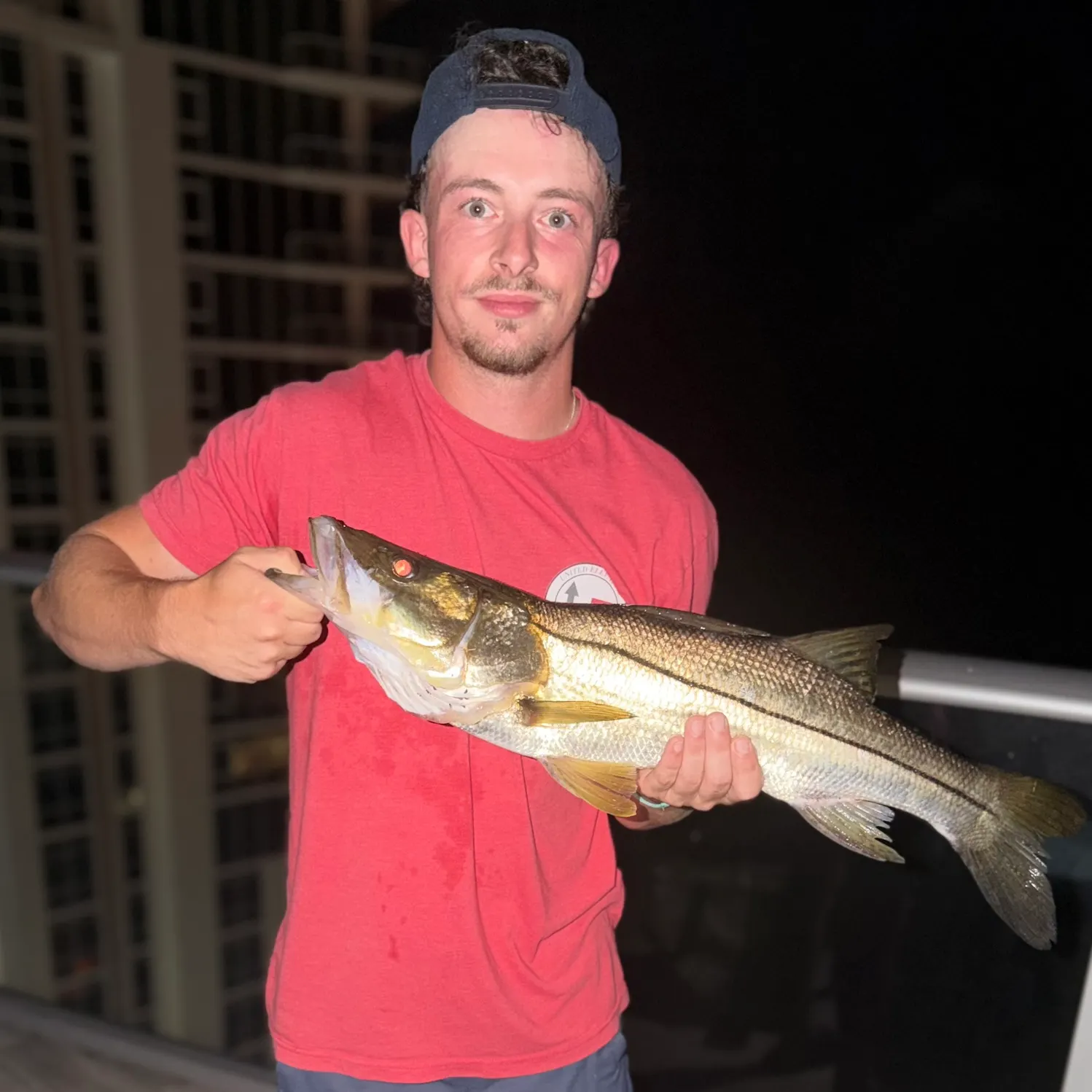 Common snook caught on Fishbrain