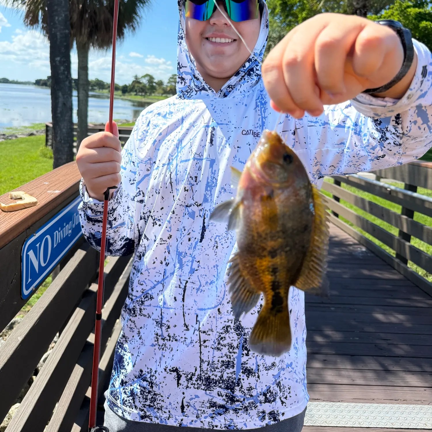The most recent Redhead cichlid catches on Fishbrain