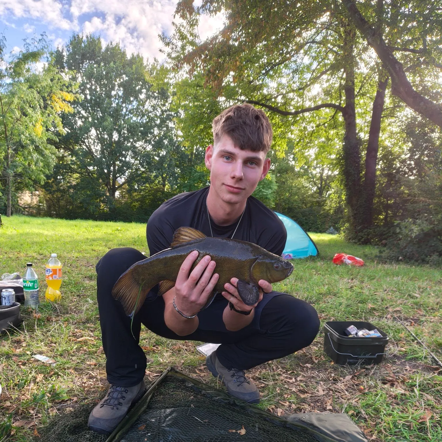 The most recent Tench catches on Fishbrain