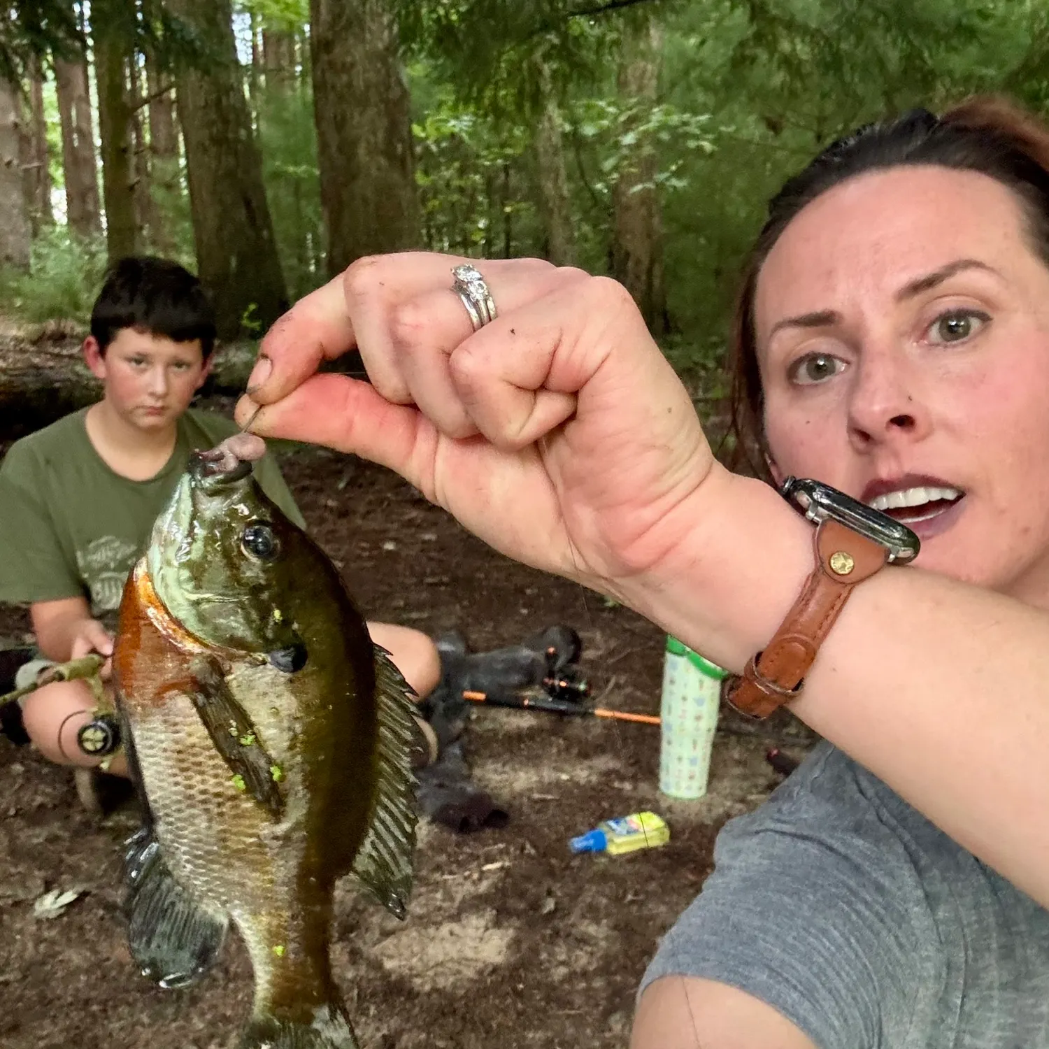 Bluegill caught on Fishbrain