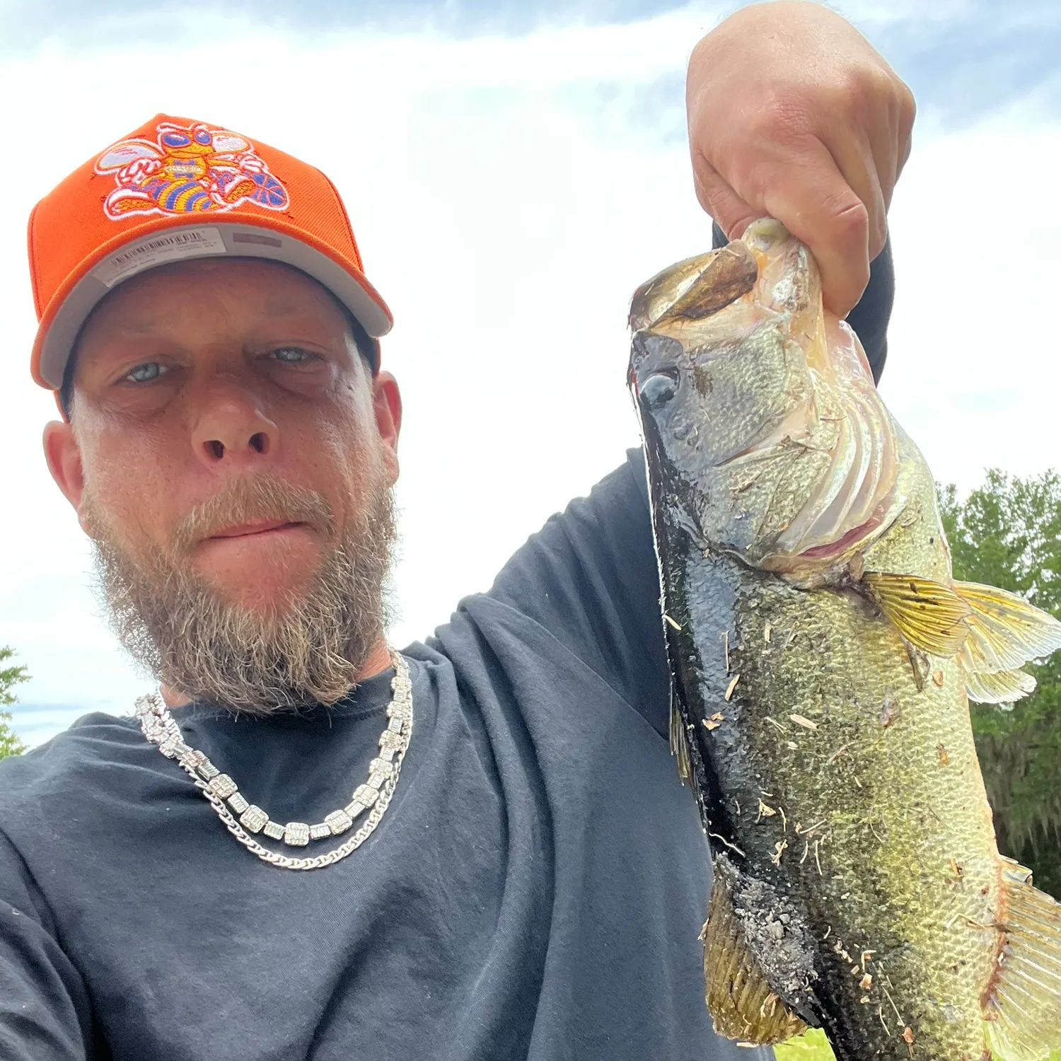 The most recent Largemouth bass catches on Fishbrain