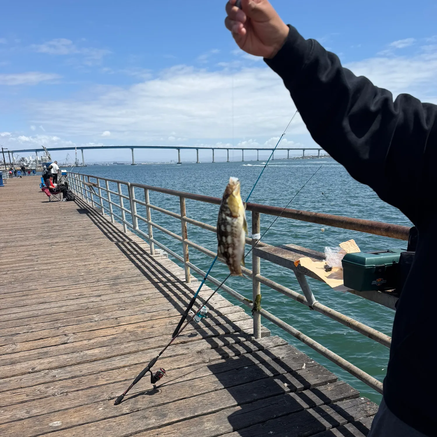 catch