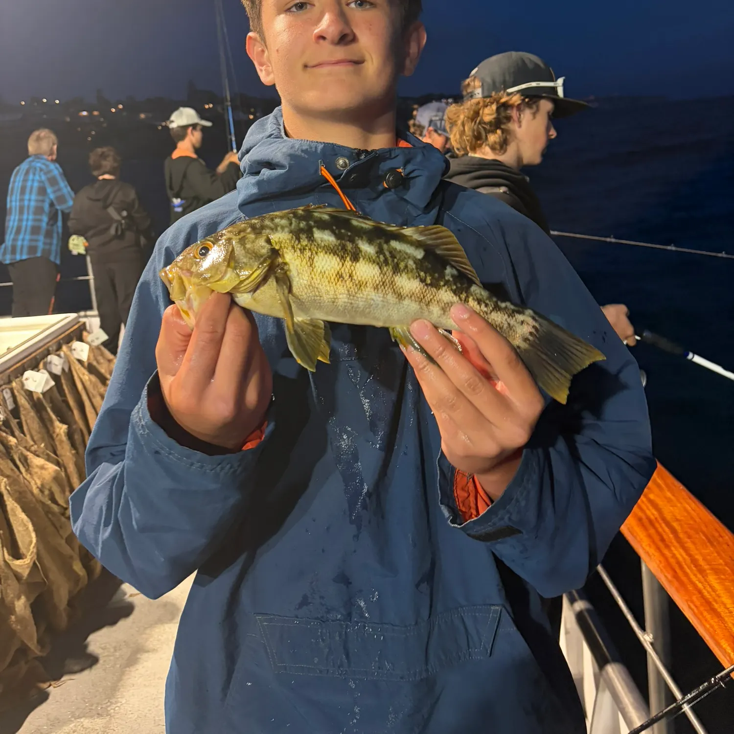The most recent Kelp bass catches on Fishbrain