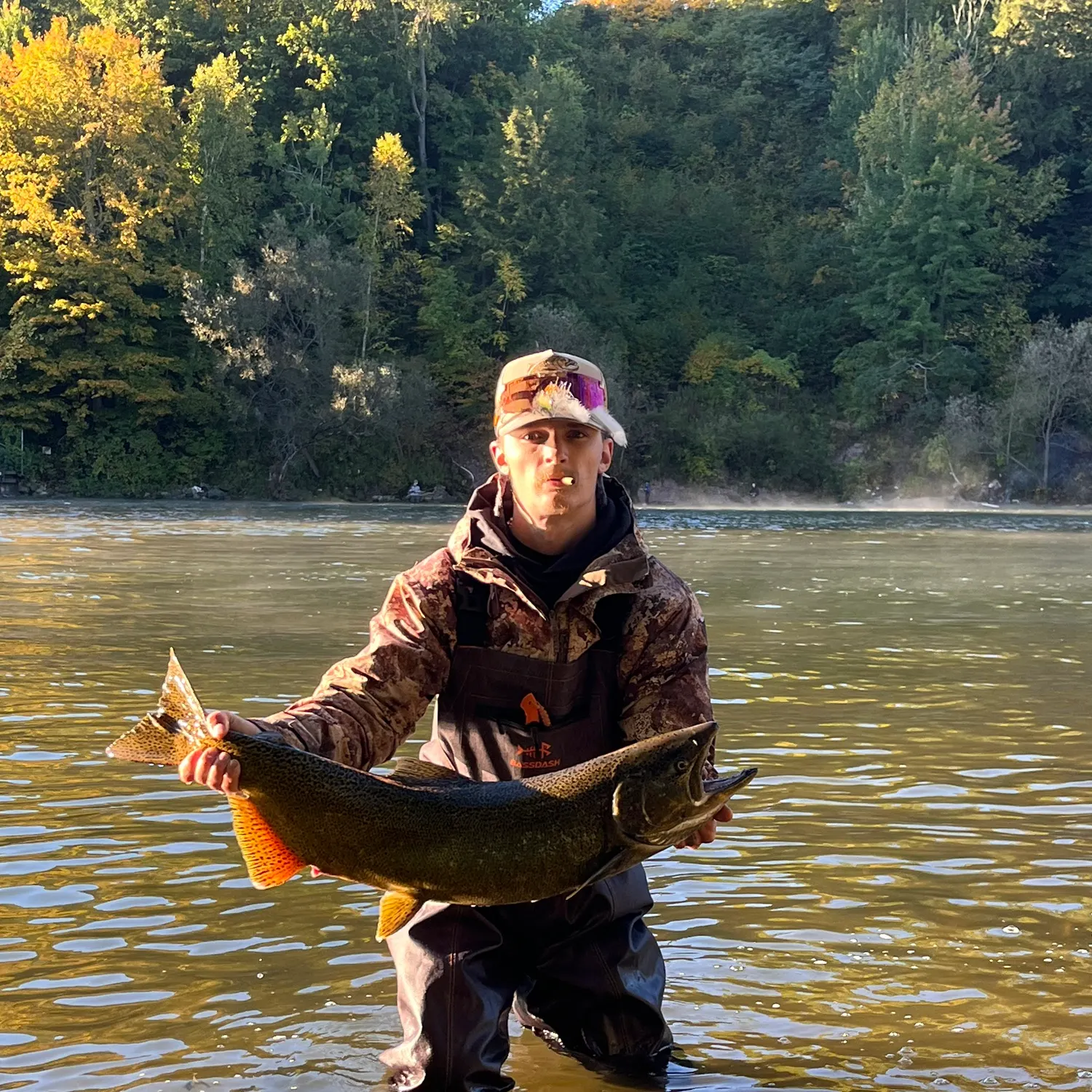 Chinook salmon caught on Fishbrain