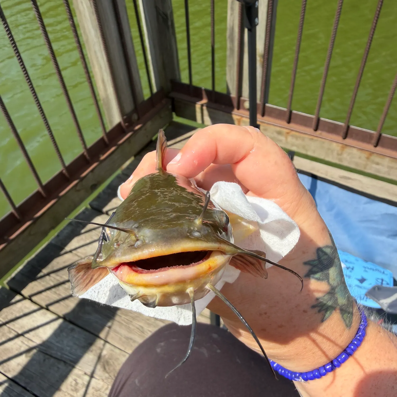 catch